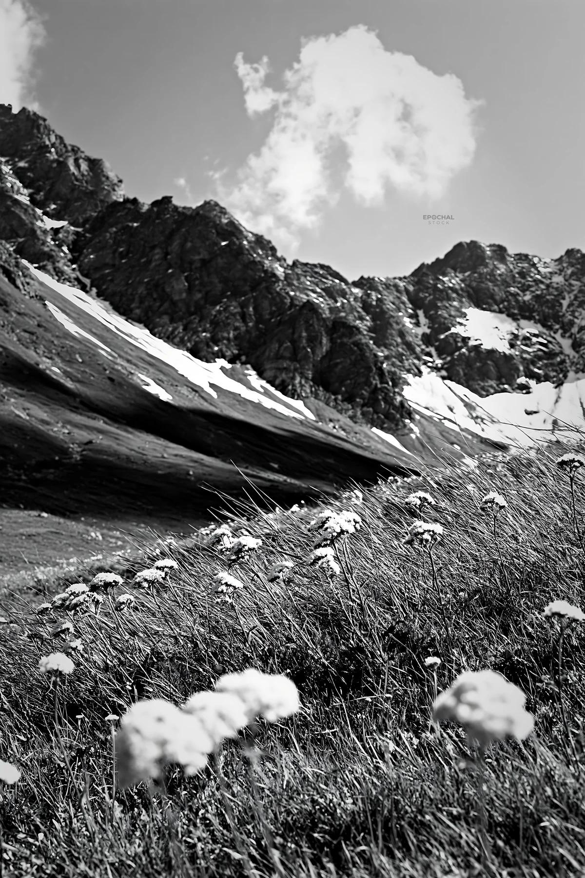 Yarrow meadow blooms in a mountain landscape - AI-generated stock image