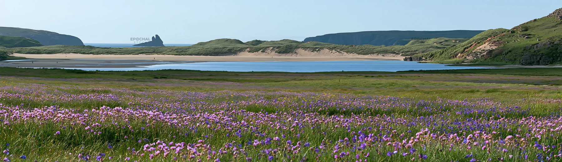 Campion bellflower meadow near a serene lake - AI-generated stock image