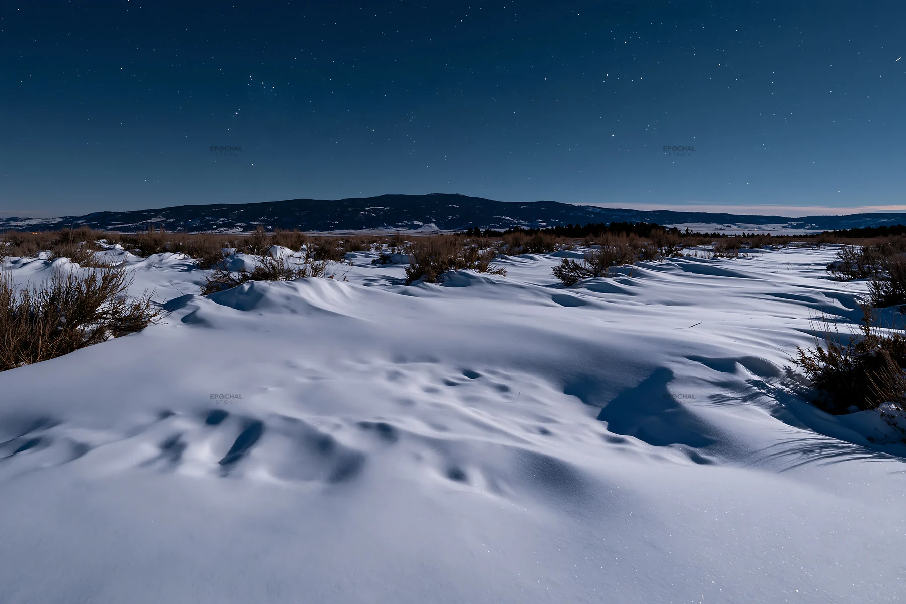 Snowdrift meadow under a clear night sky - AI-generated stock image
