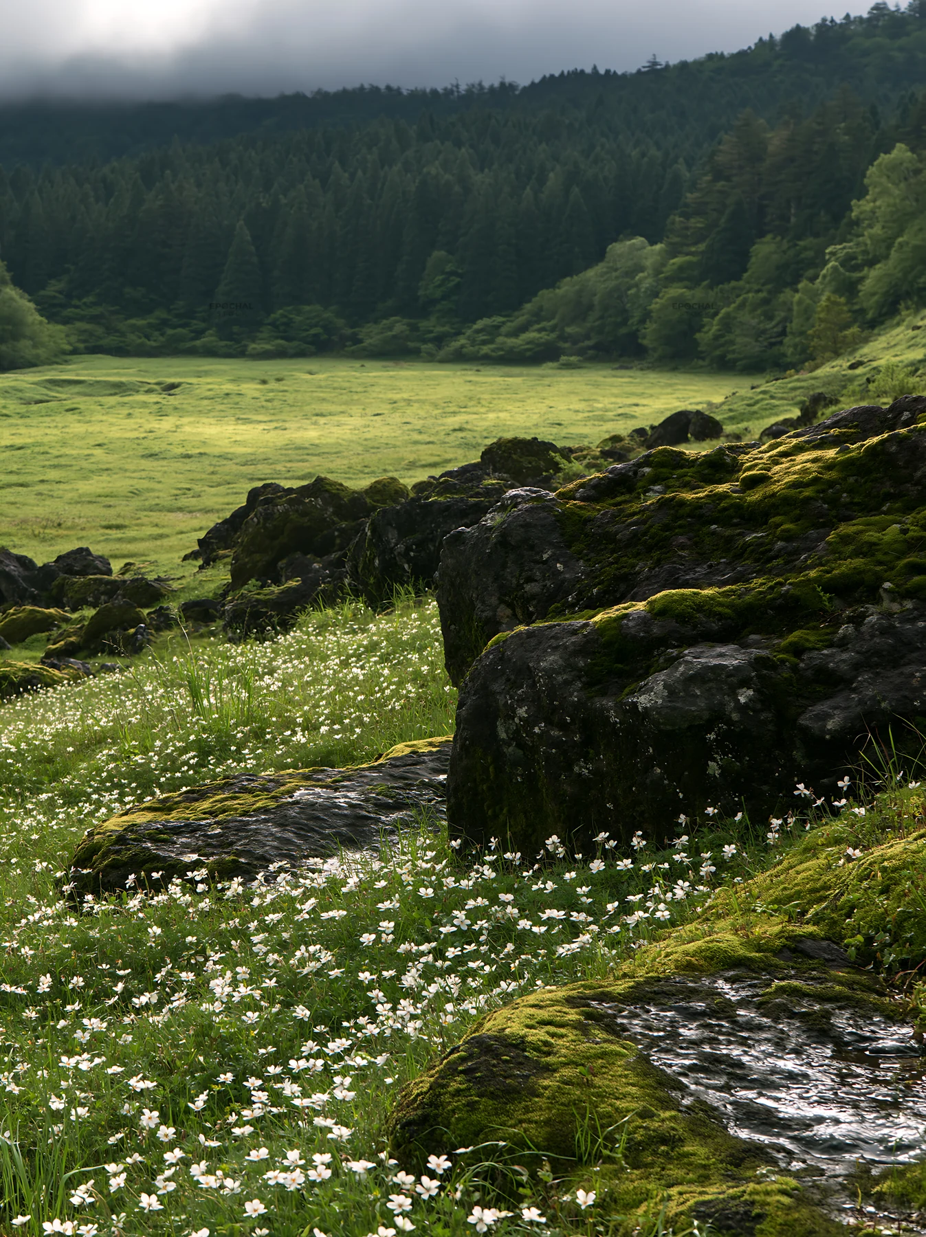 Miyagi spring recovery meadow mossy stone with flowers - AI-generated stock image