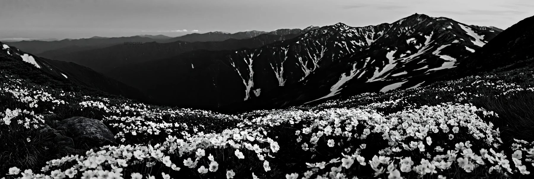 Black and white toyama alpine meadow snowmelt rock foreground with mountain view - AI-generated stock image
