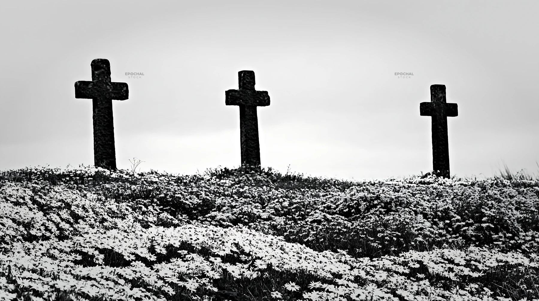 Multiple Christian crosses in Christmas meadow - AI-generated stock image