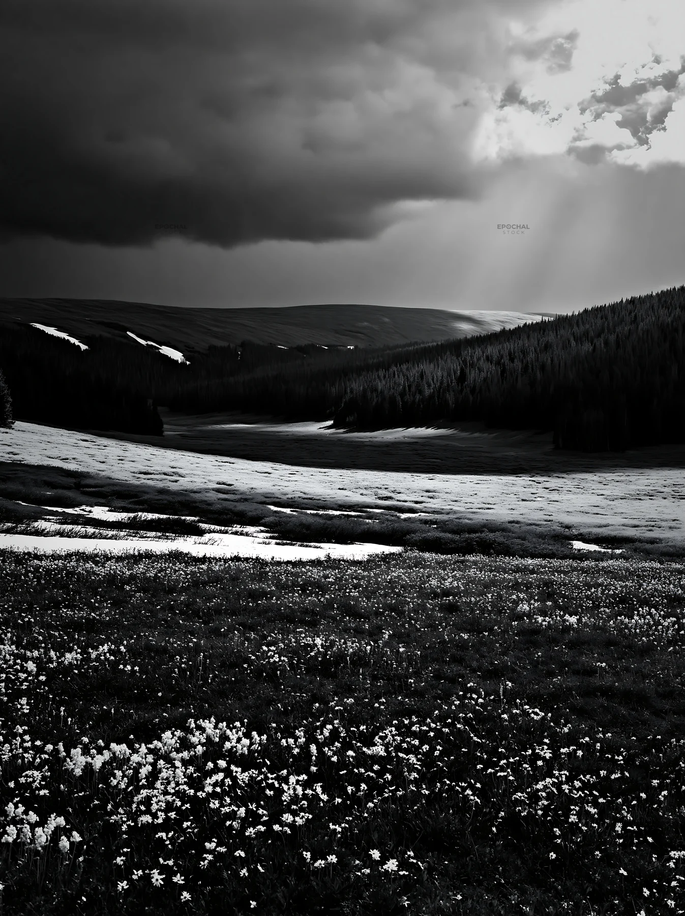 Snowy Rocky Mountain Park meadow under dark clouds - AI-generated stock image
