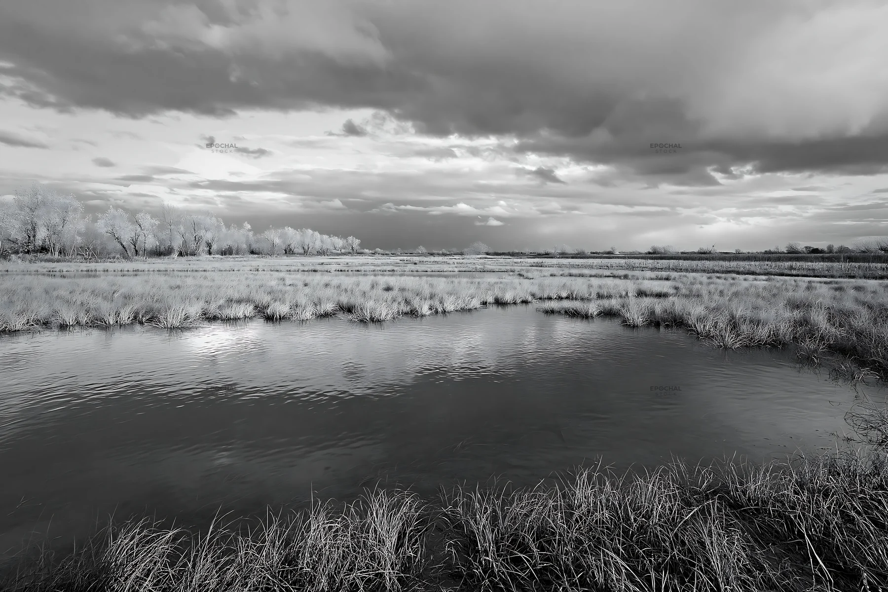 Autumn meadow with water and cloudy sky in black and white - AI-generated stock image