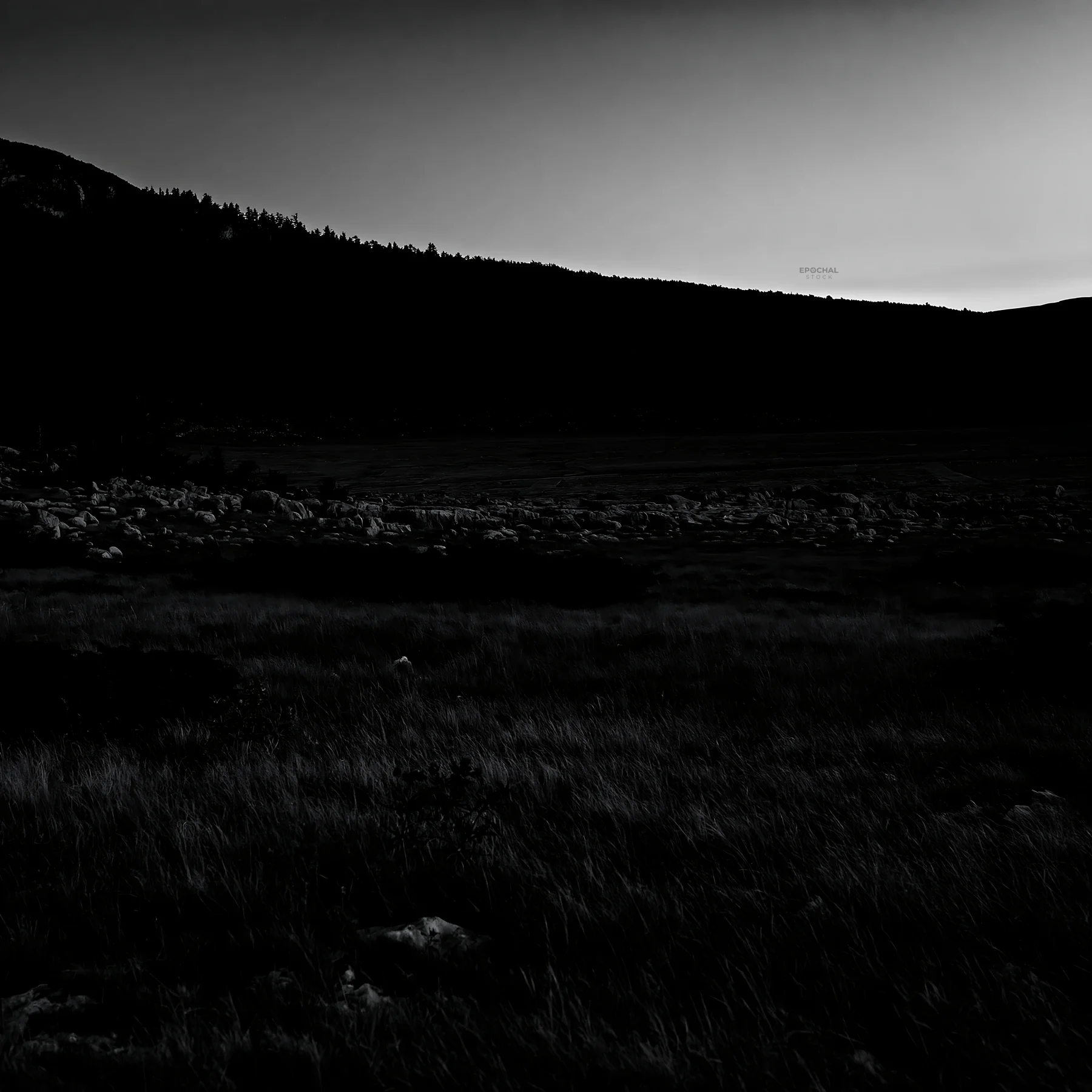 Moonrise over a meadow - AI-generated stock image