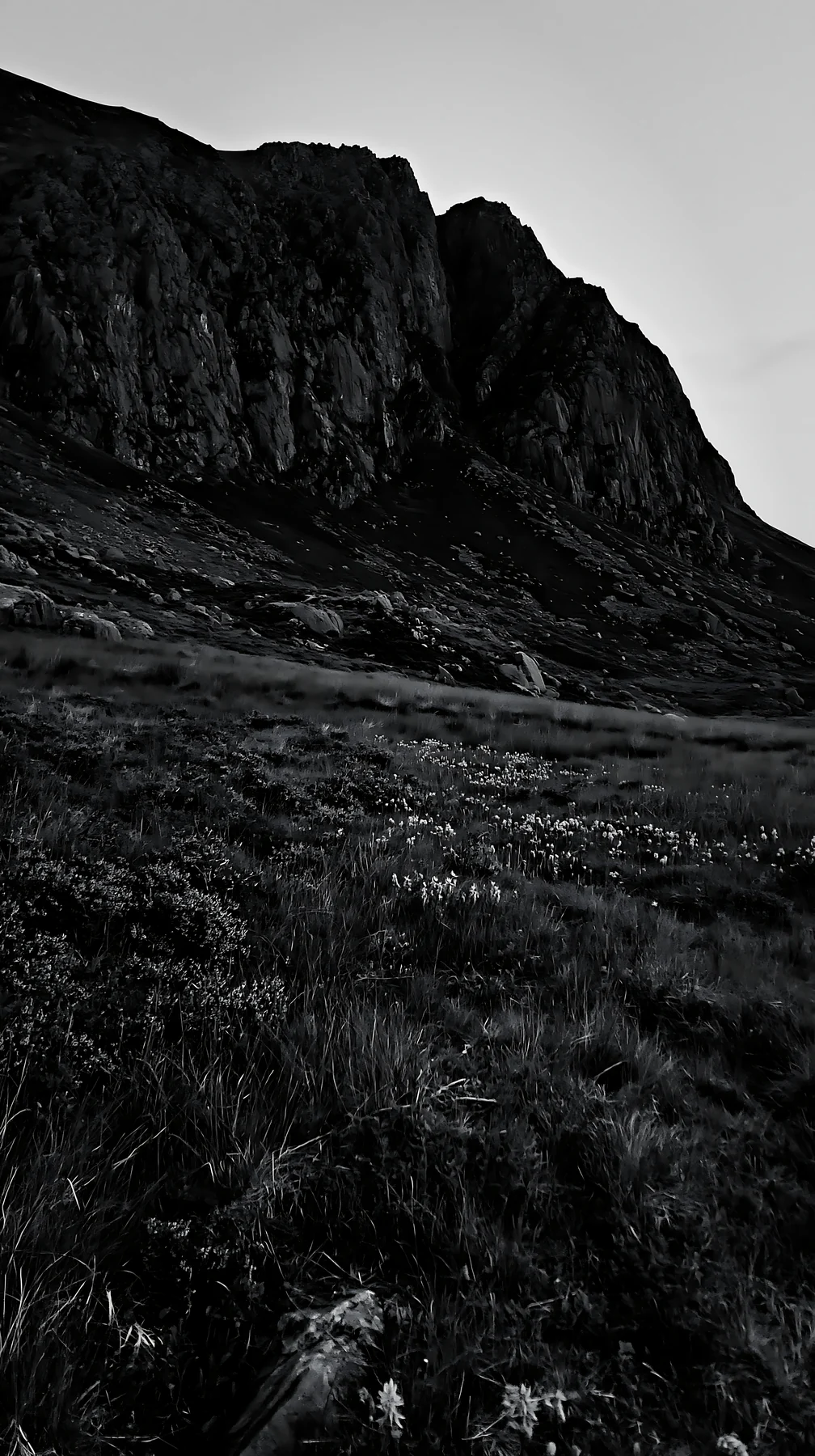 Meadow beneath jagged crags at dusk - AI-generated stock image