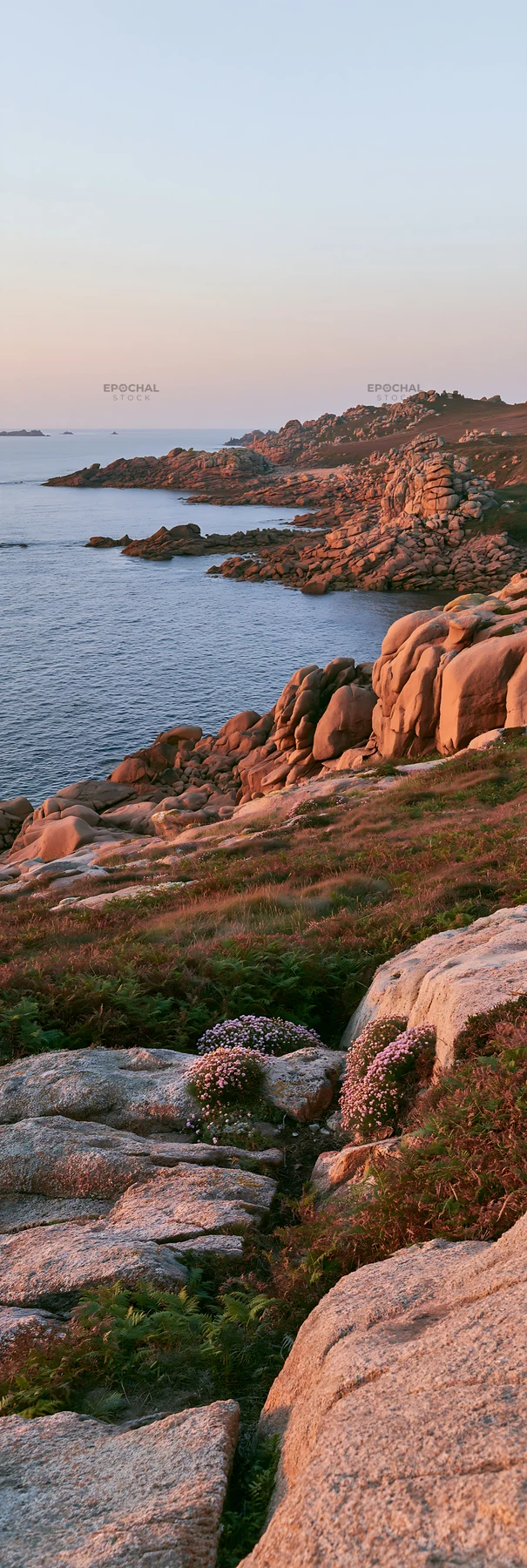 Clifftop meadow overlooking the ocean at sunset - AI-generated stock image