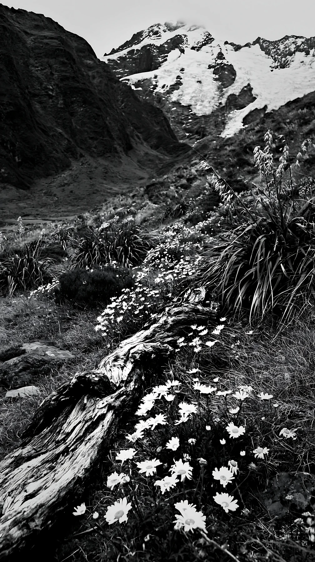 Weathered log in a meadow with flowers and snow-capped mountains - AI-generated stock image