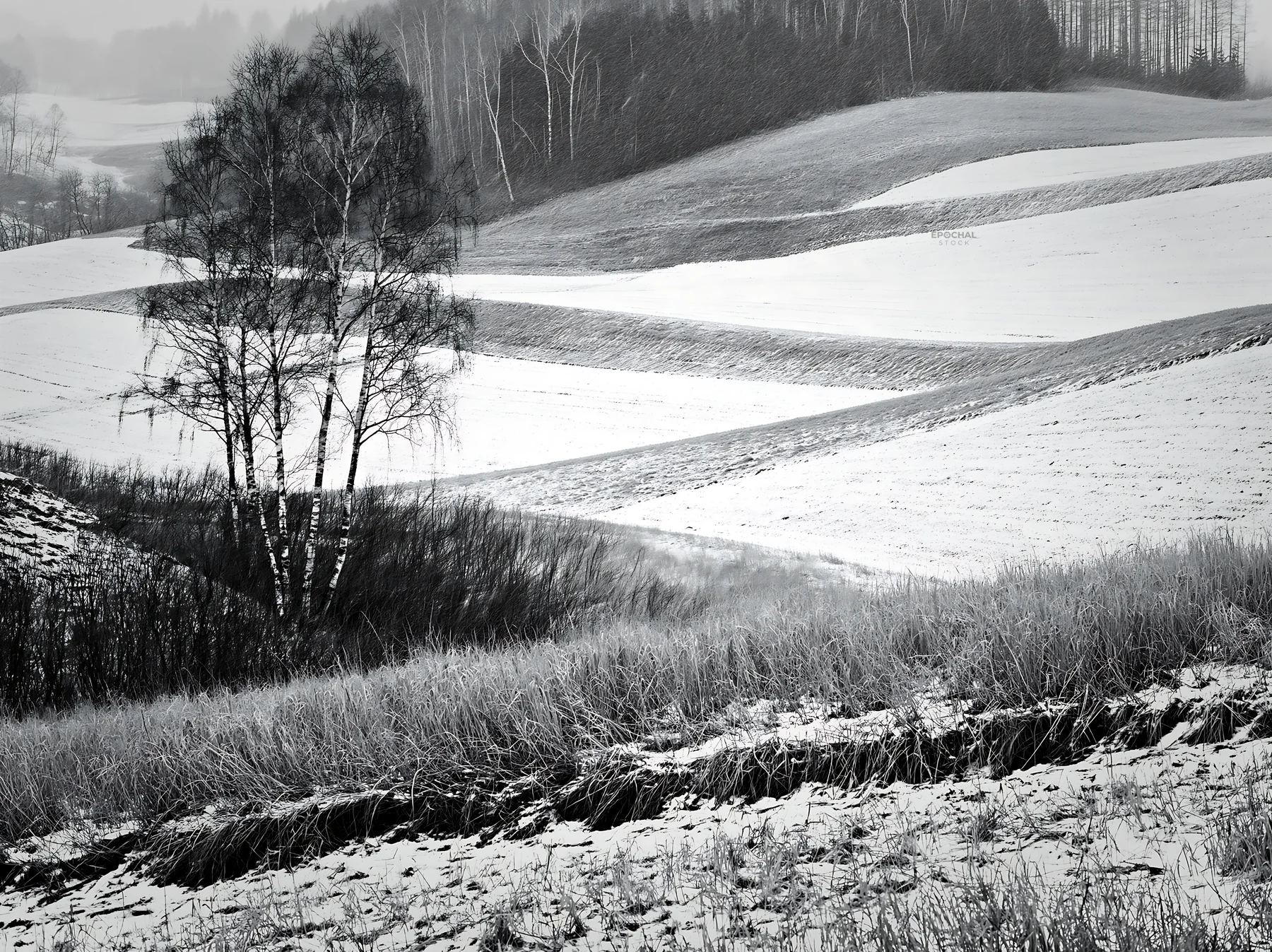 Snow covered Biei hills meadow in winter - AI-generated stock image