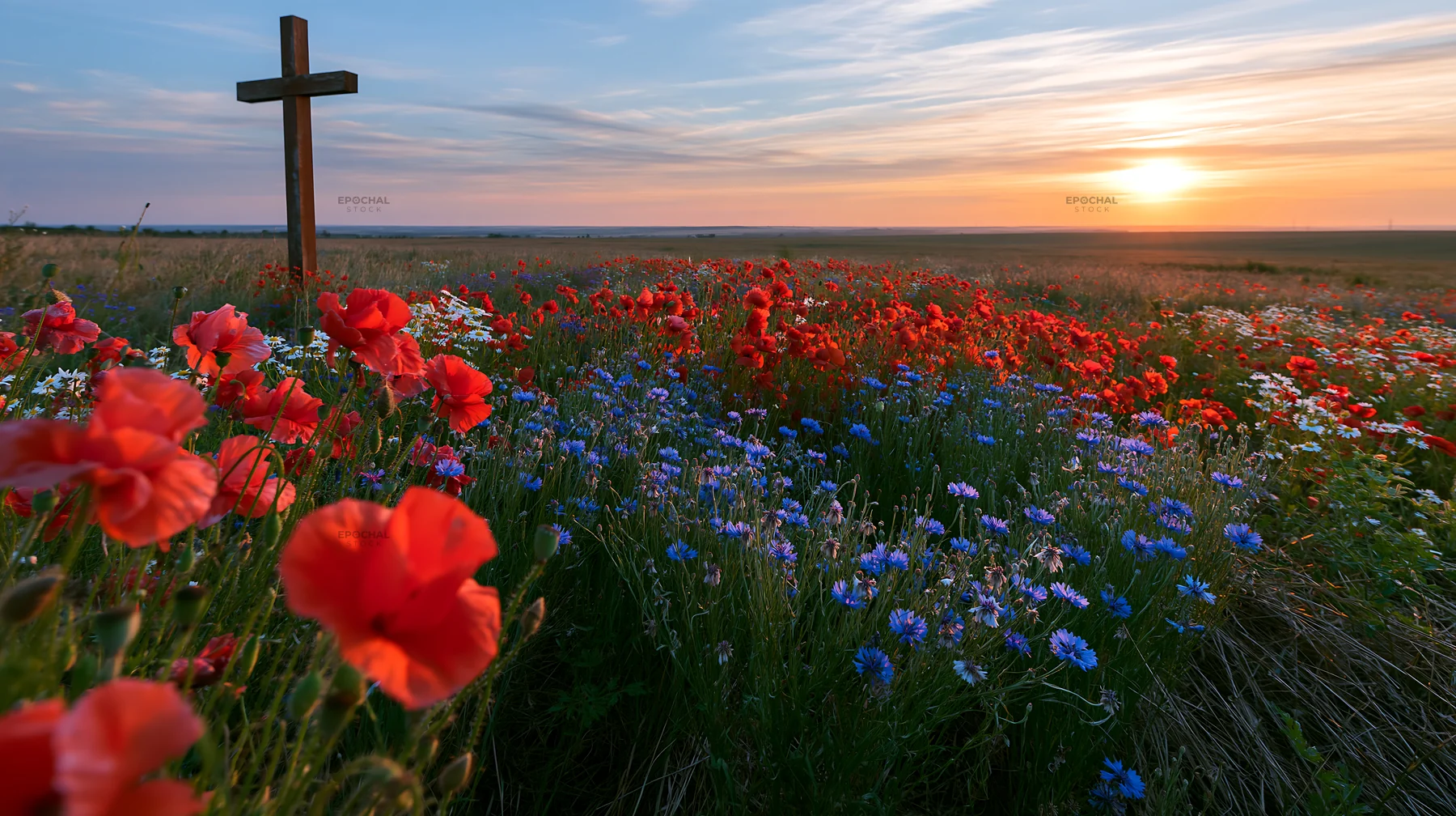 Christian cross surrounded by flowers at sunrise in a meadow - AI-generated stock image