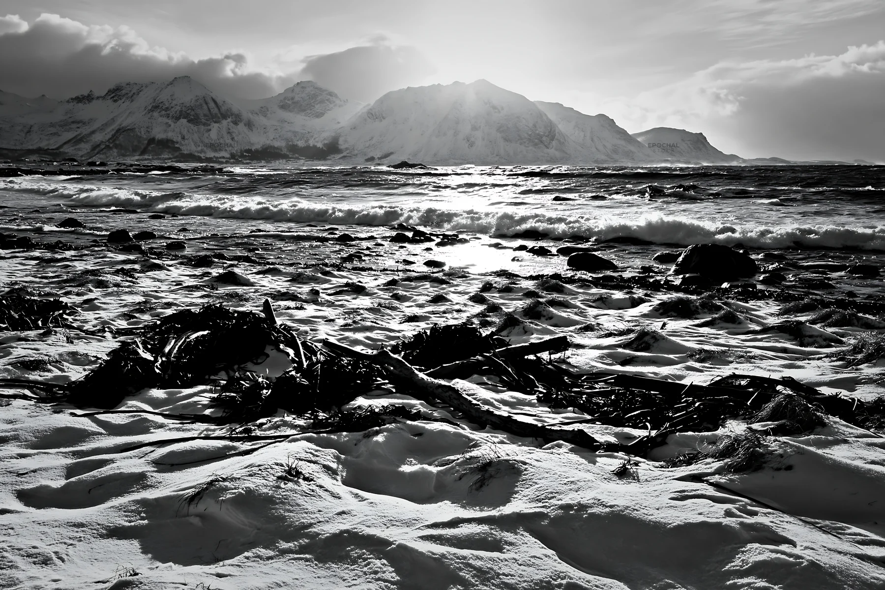 Lofoten coastal meadow in winter with snow and water - AI-generated stock image