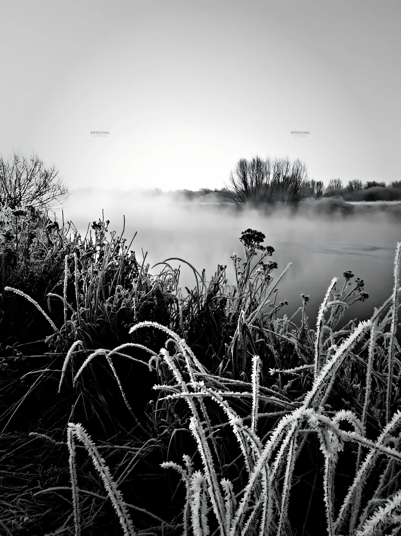 Frost-touched meadow beside a foggy water body - AI-generated stock image