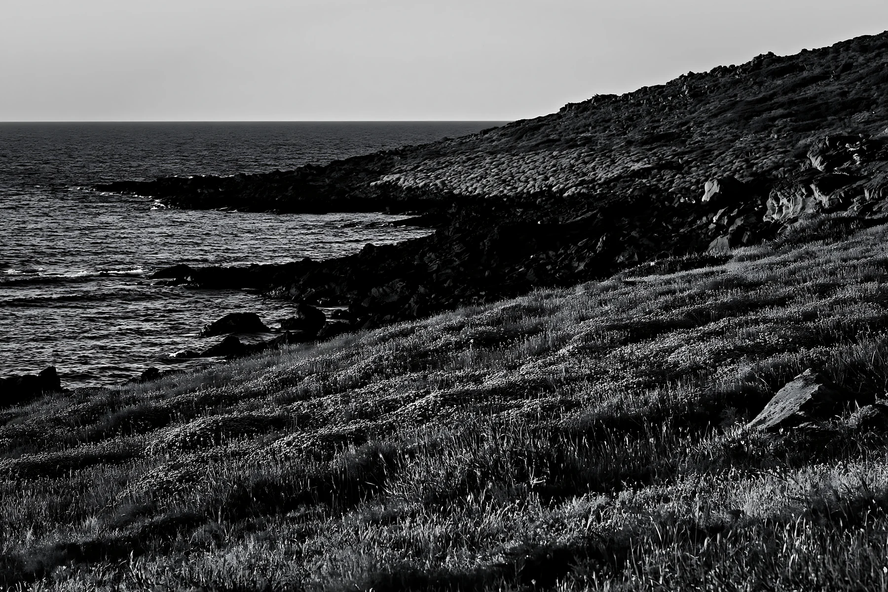 Italian meadow along rocky coast near the sea - AI-generated stock image