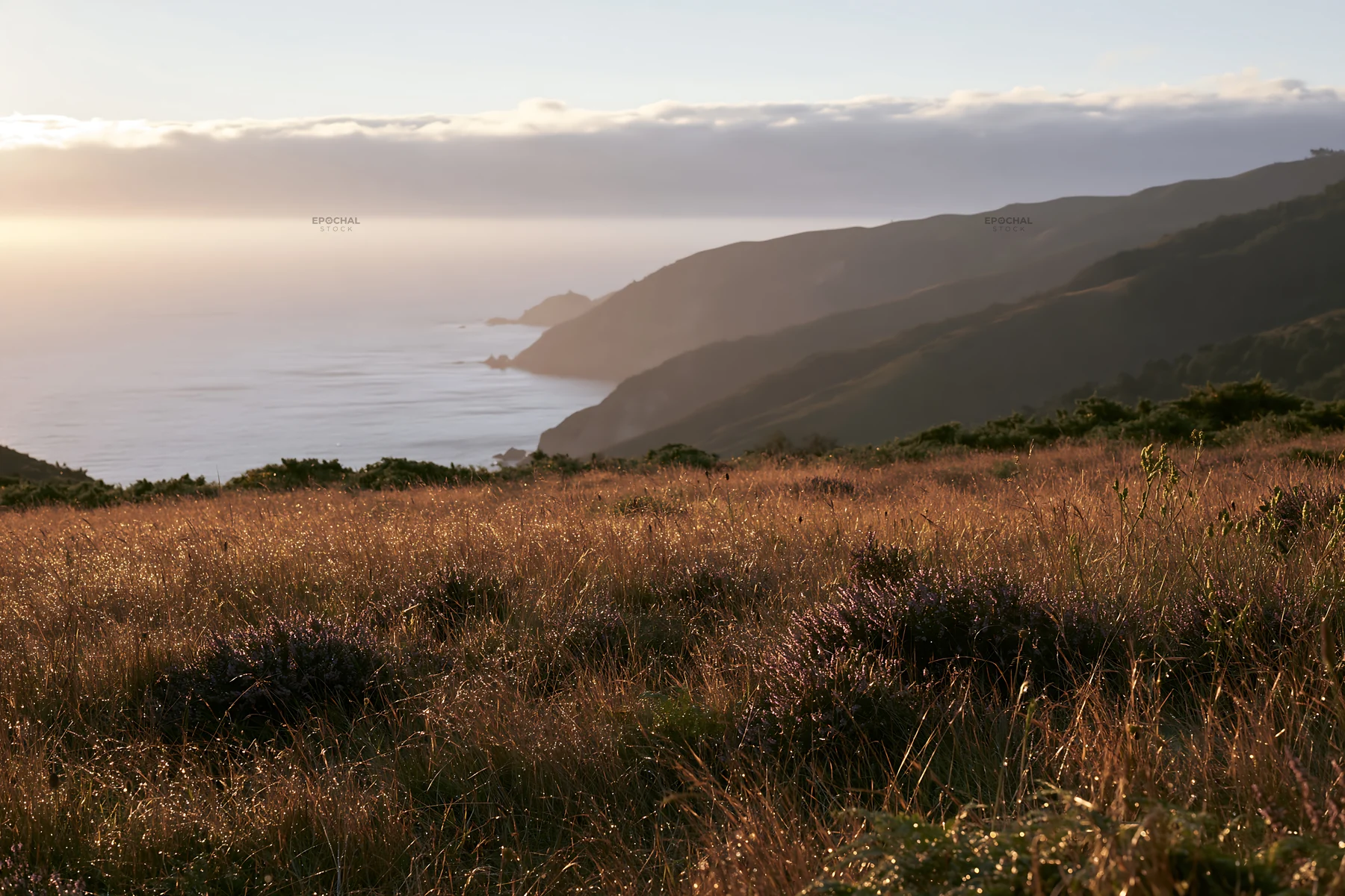 Portuguese meadow above Atlantic coast with green hills and ocean - AI-generated stock image