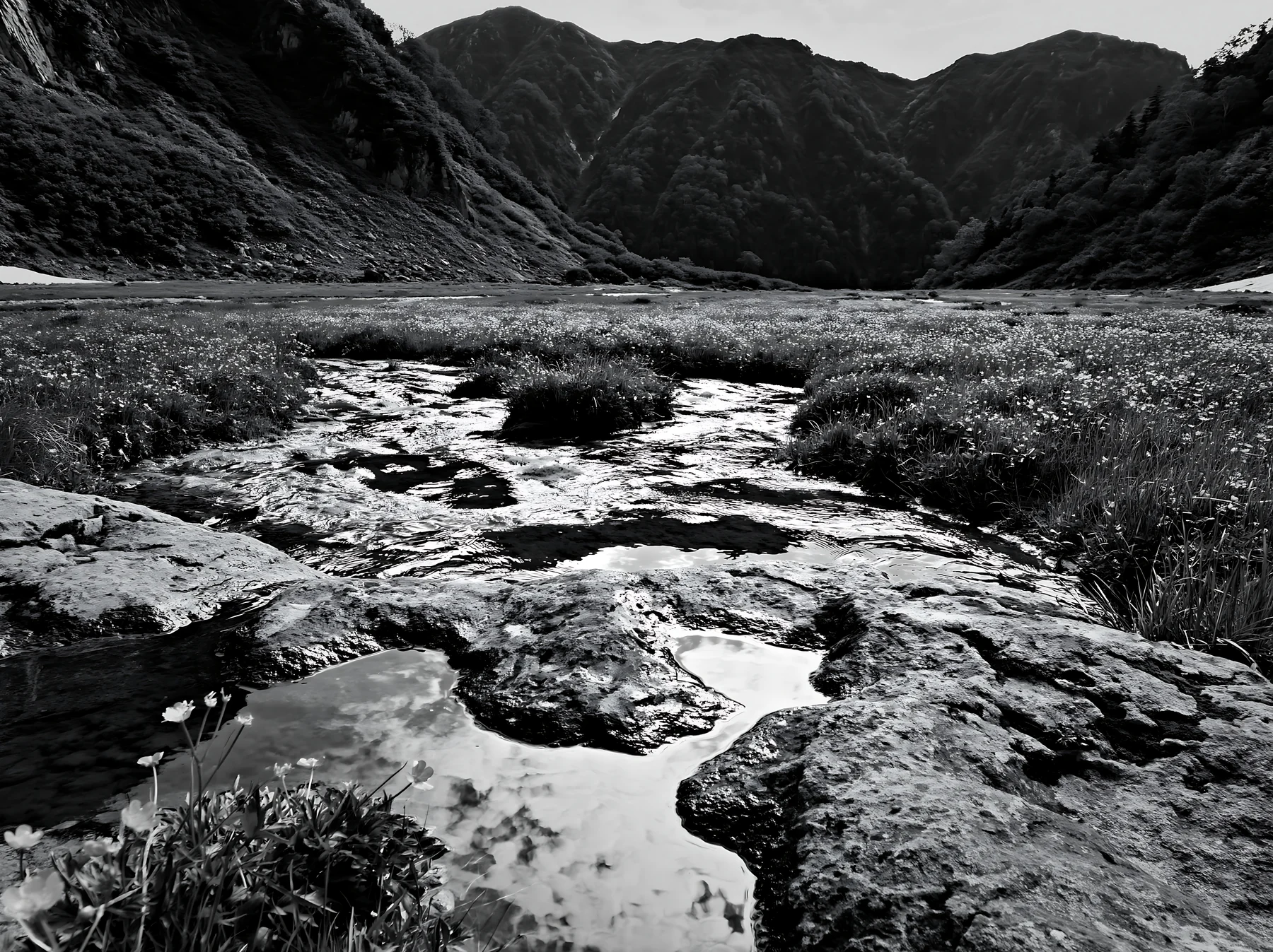 Black and white toyama alpine meadow snowmelt rock foreground with lush greenery - AI-generated stock image