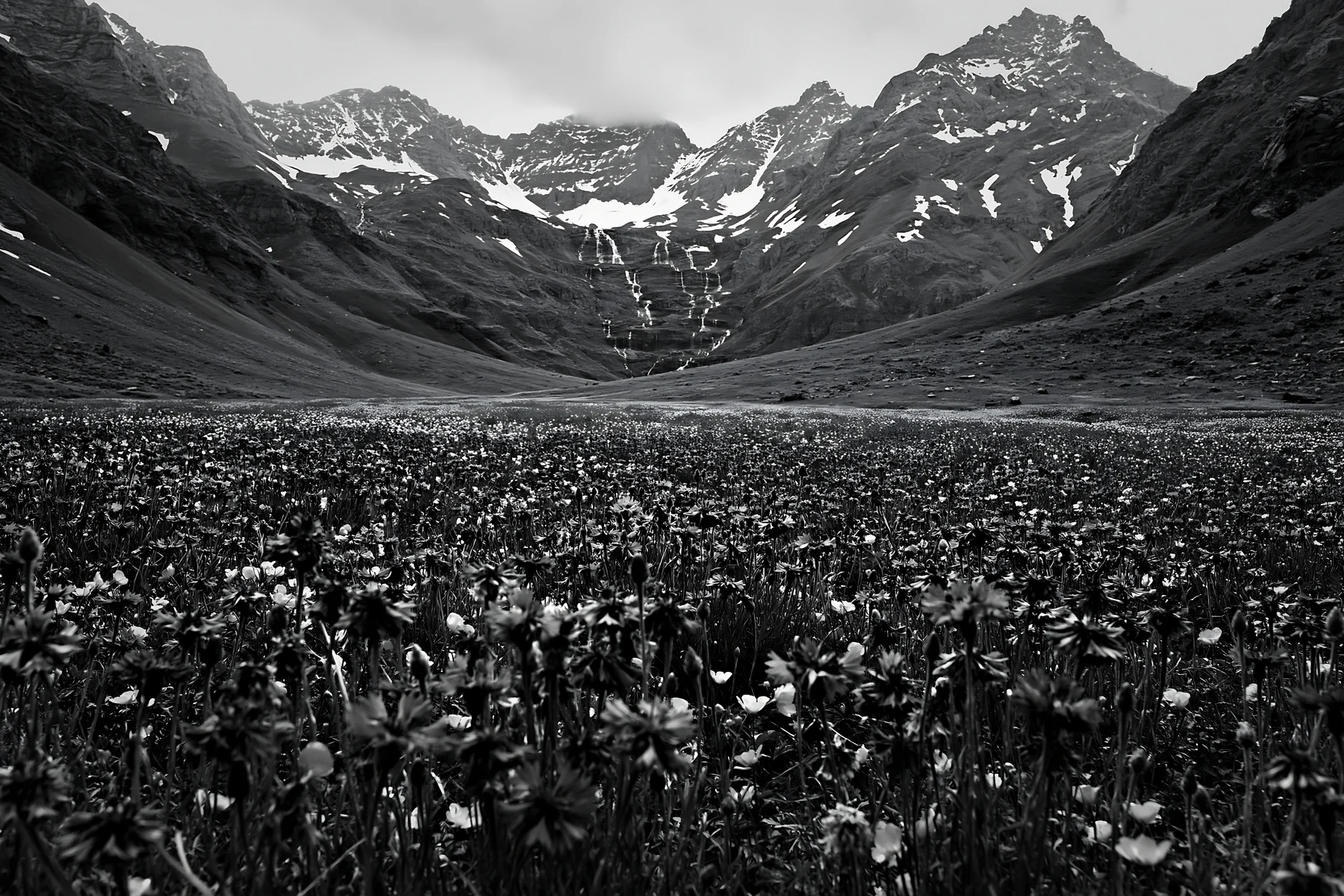 Meadow located beneath a waterfall in a mountainous area - AI-generated stock image