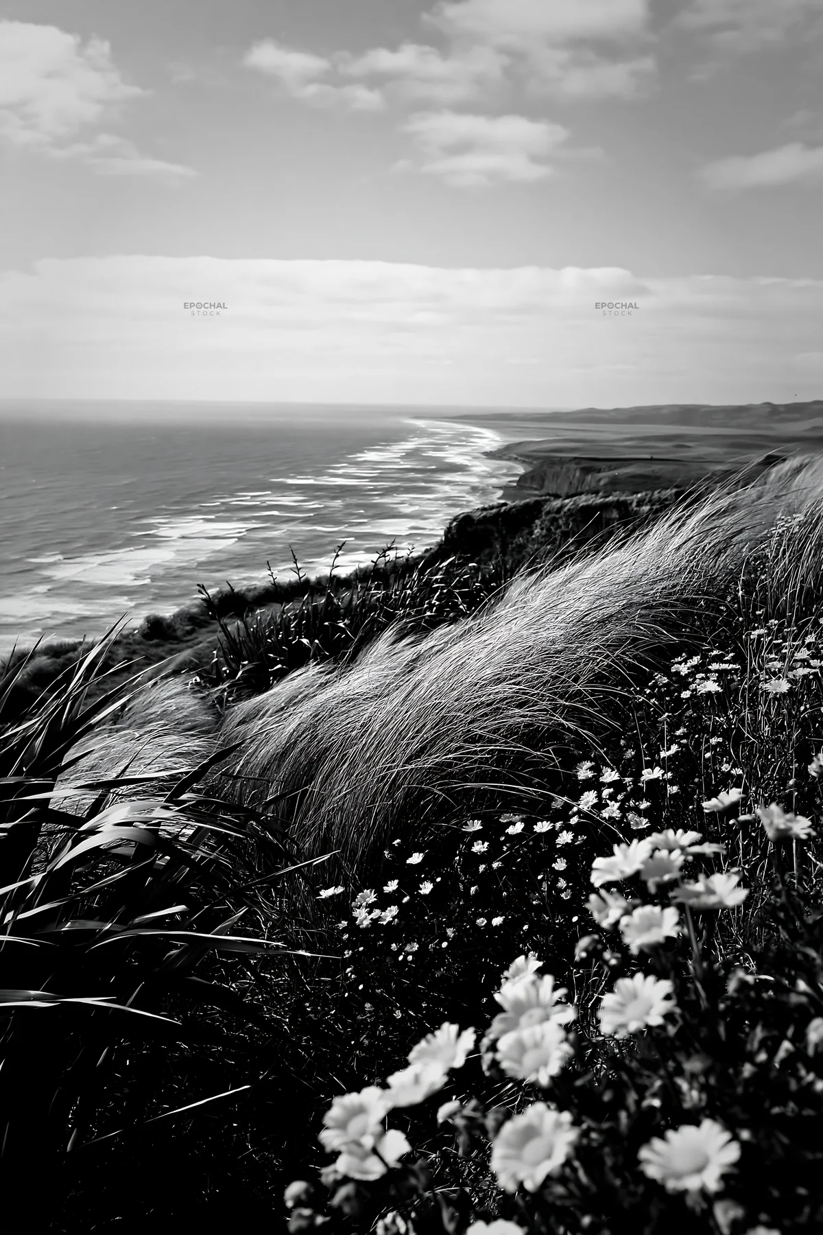 Clifftop meadow overlooking ocean waves and shoreline - AI-generated stock image