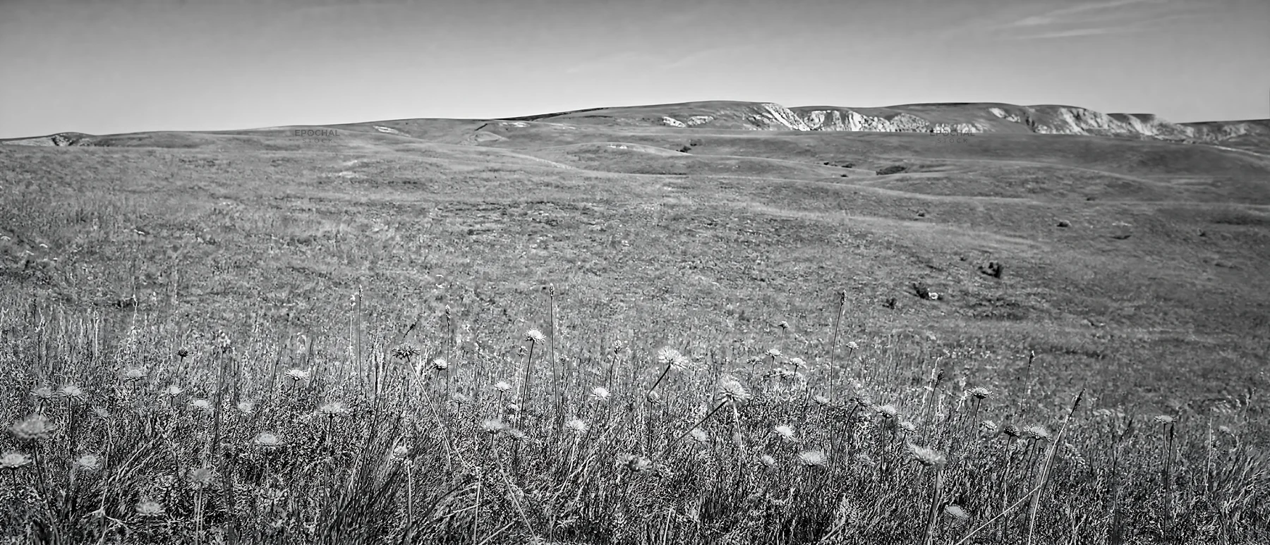 Sunny limestone meadow with open space - AI-generated stock image