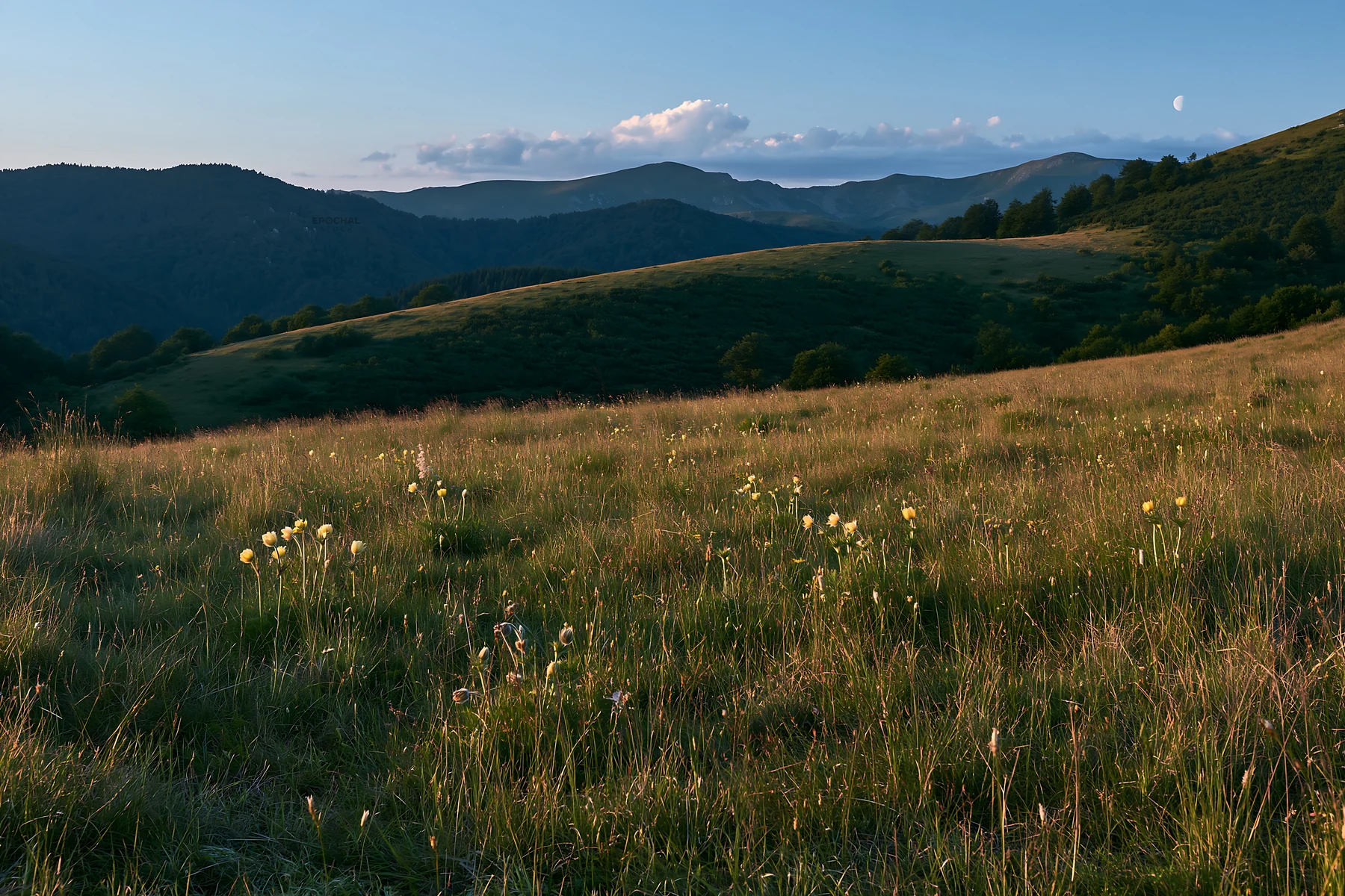 Moonrise over meadow with hills in the background - AI-generated stock image