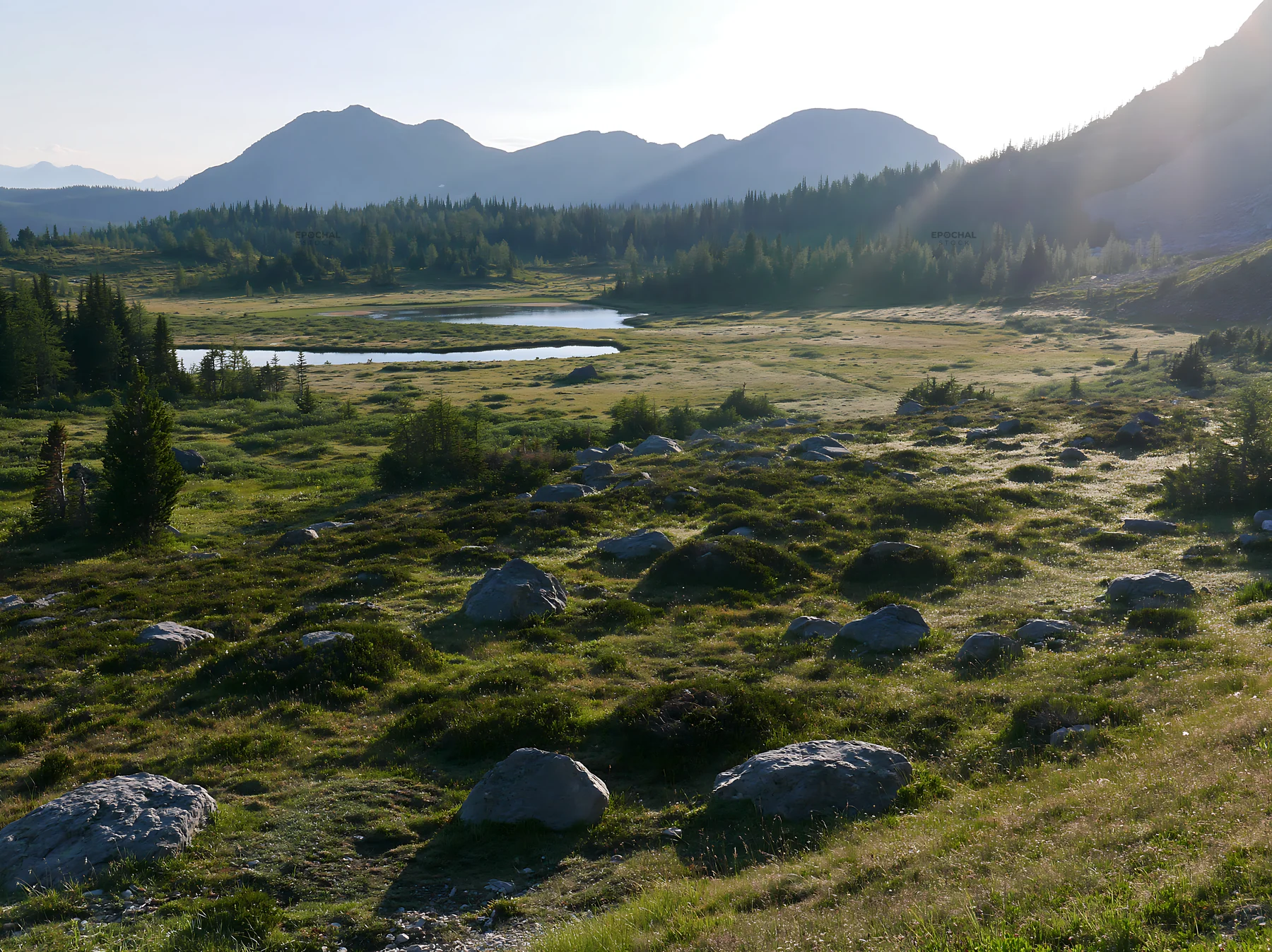 Sunshine Meadows Banff light rays capture the landscape - AI-generated stock image