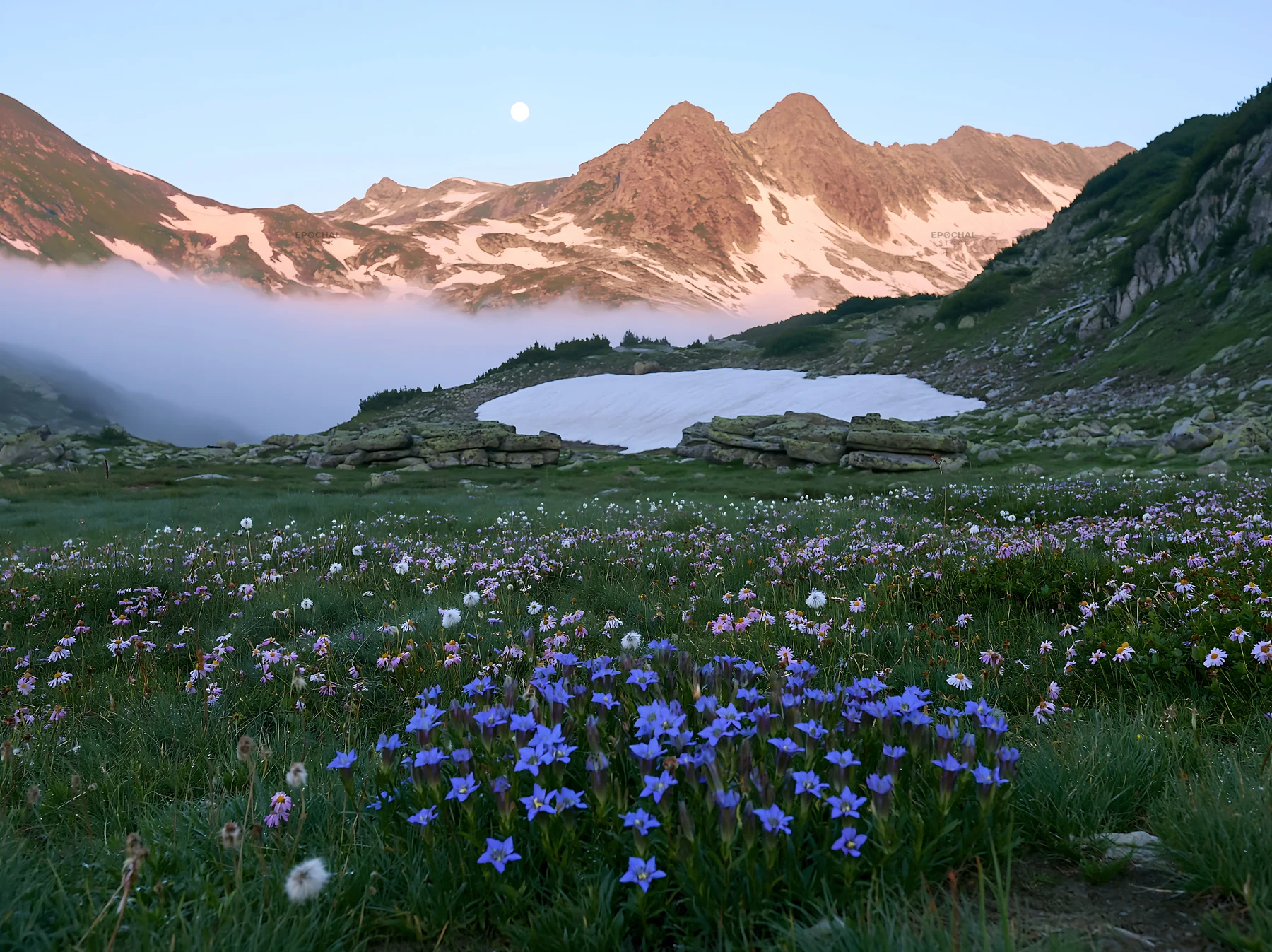Moonrise over meadow with wildflowers and mountains - AI-generated stock image