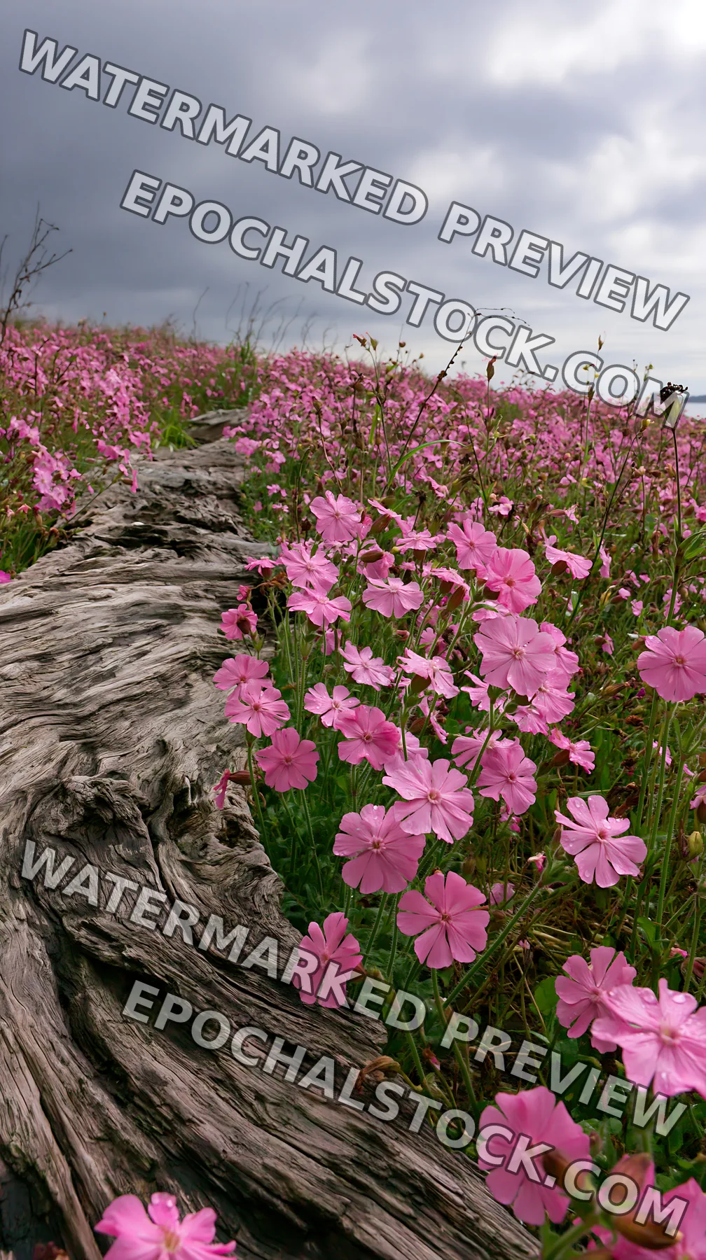 Chiba coastal climate meadow driftwood foreground with flowers - AI-generated stock image