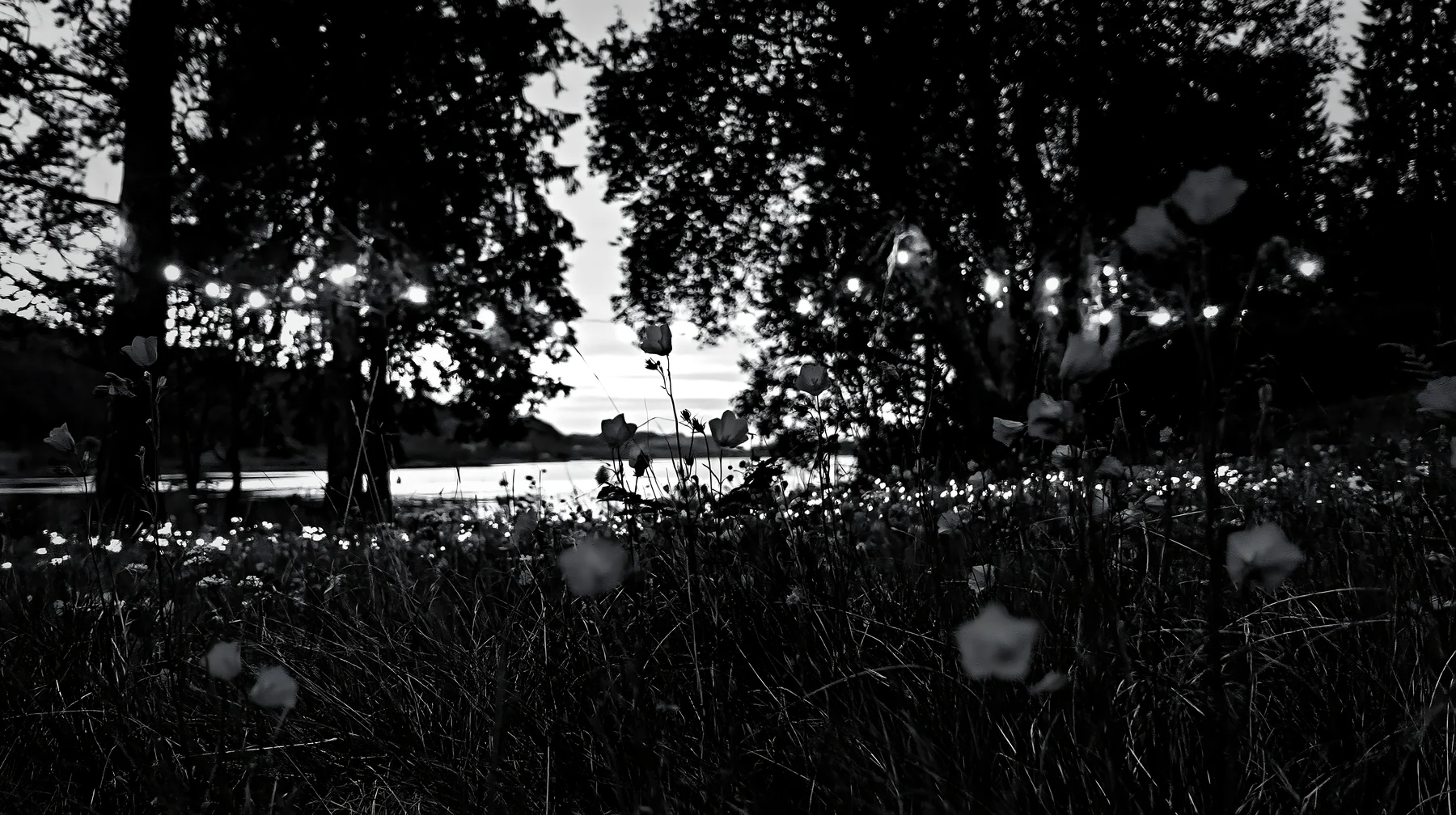 Wide Christmas meadow with fairy lights and native flowers - AI-generated stock image