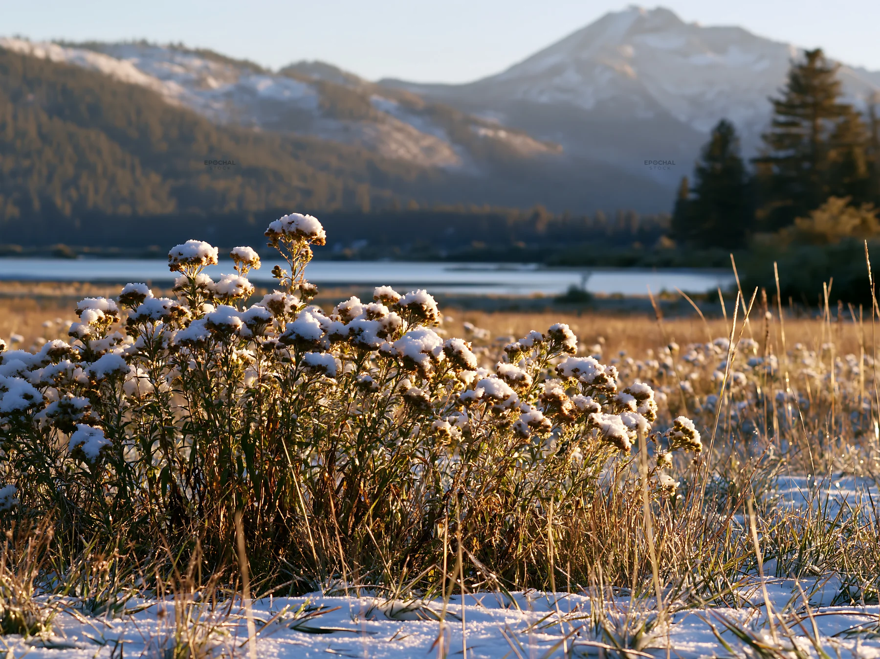 Lakeside meadow after first snowfall near mountains - AI-generated stock image