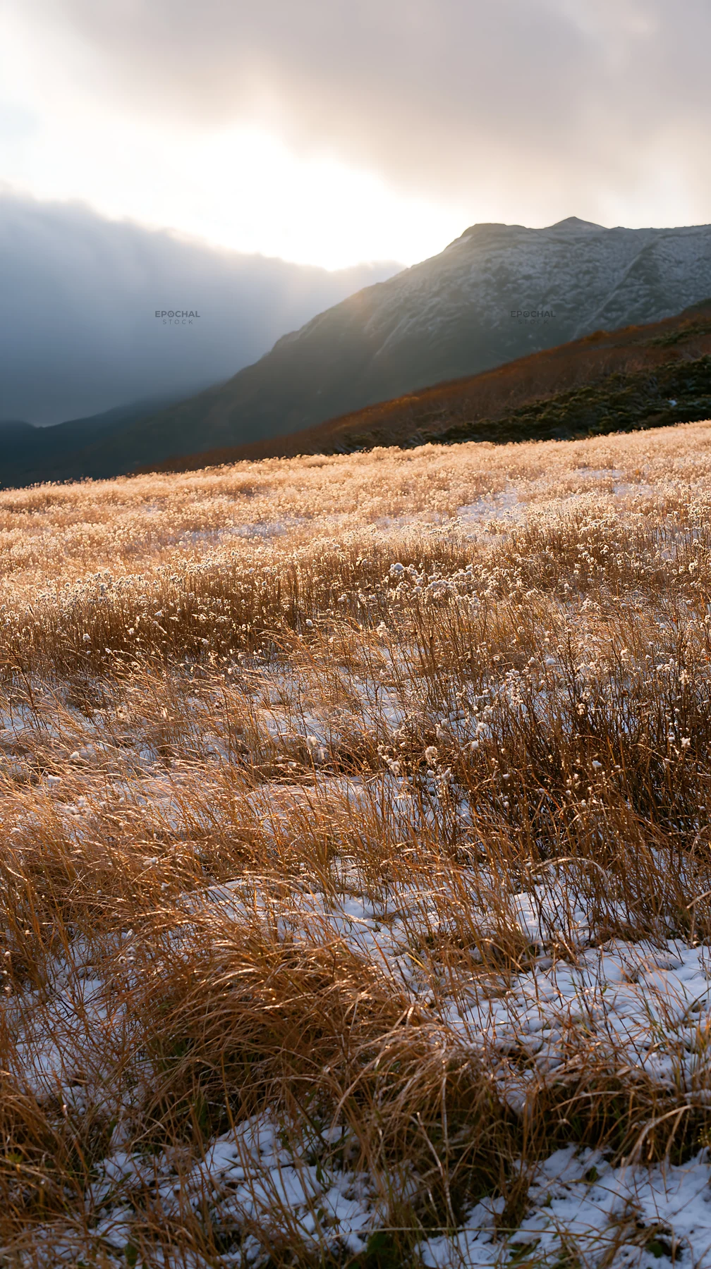 Daisetsuzan alpine meadow with light rays in the background - AI-generated stock image