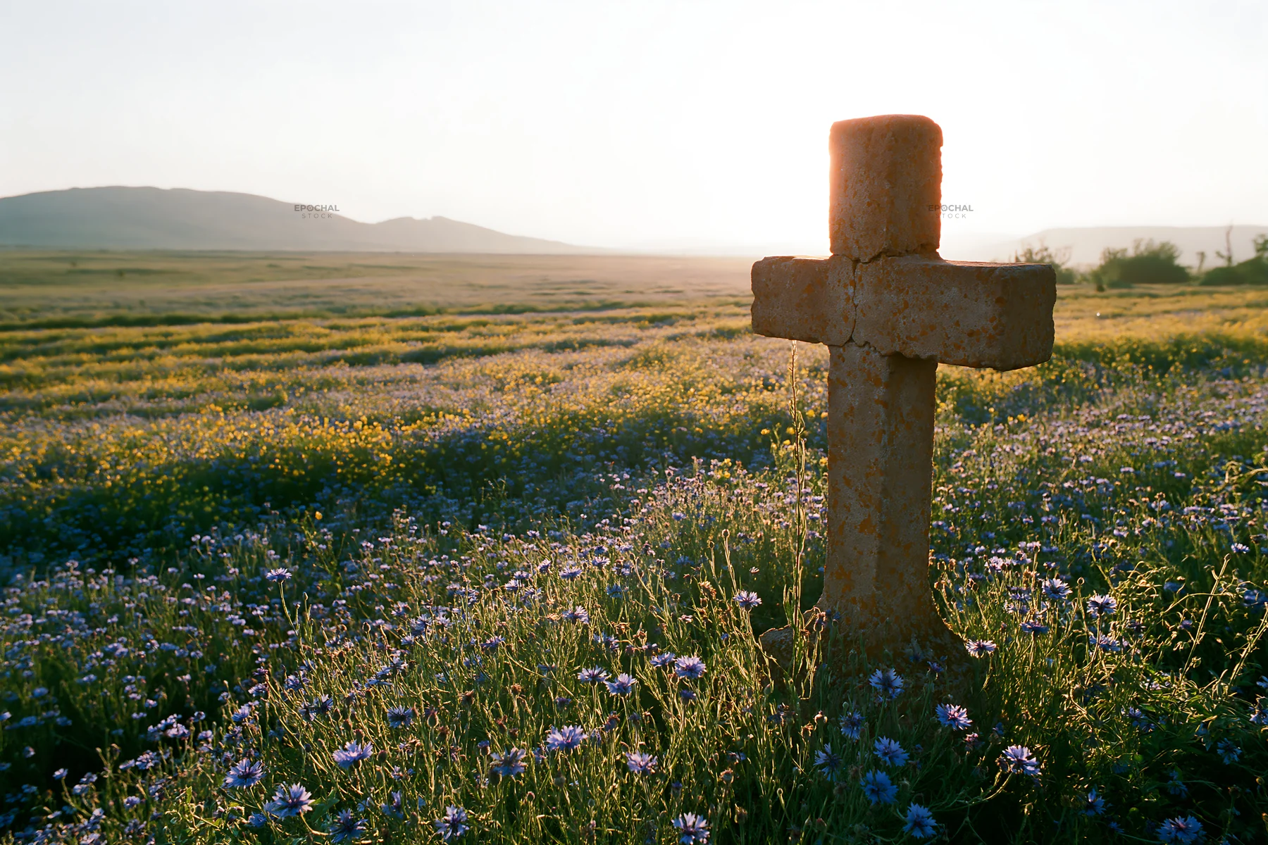 Christian cross in backlit summer meadow with wildflowers - AI-generated stock image