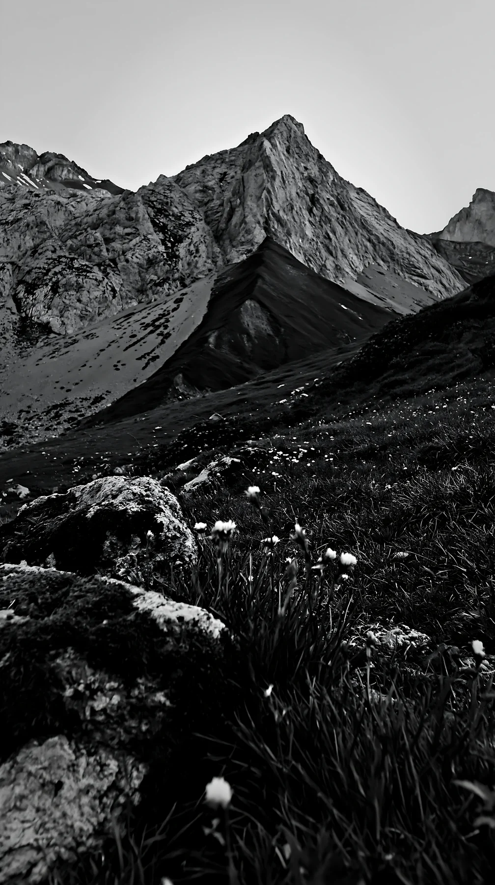 Climate-resilient meadow with mountain backdrop in black and white - AI-generated stock image