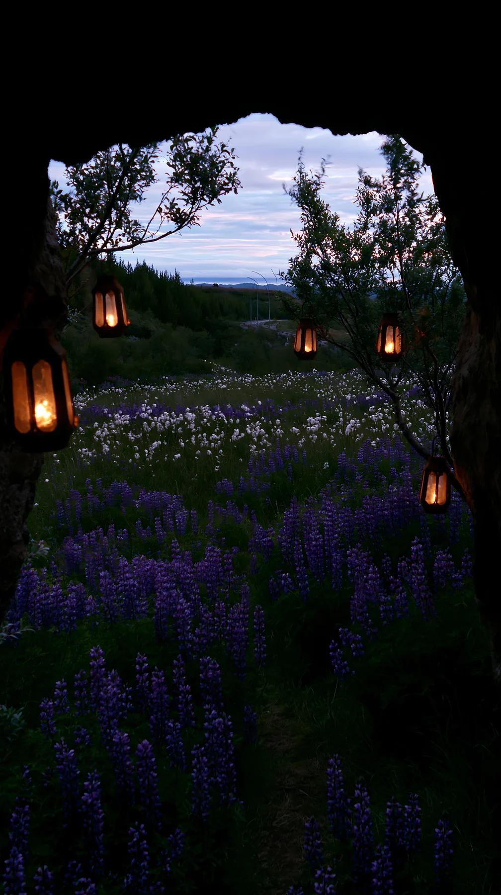 Christmas lanterns in meadow by cave - AI-generated stock image