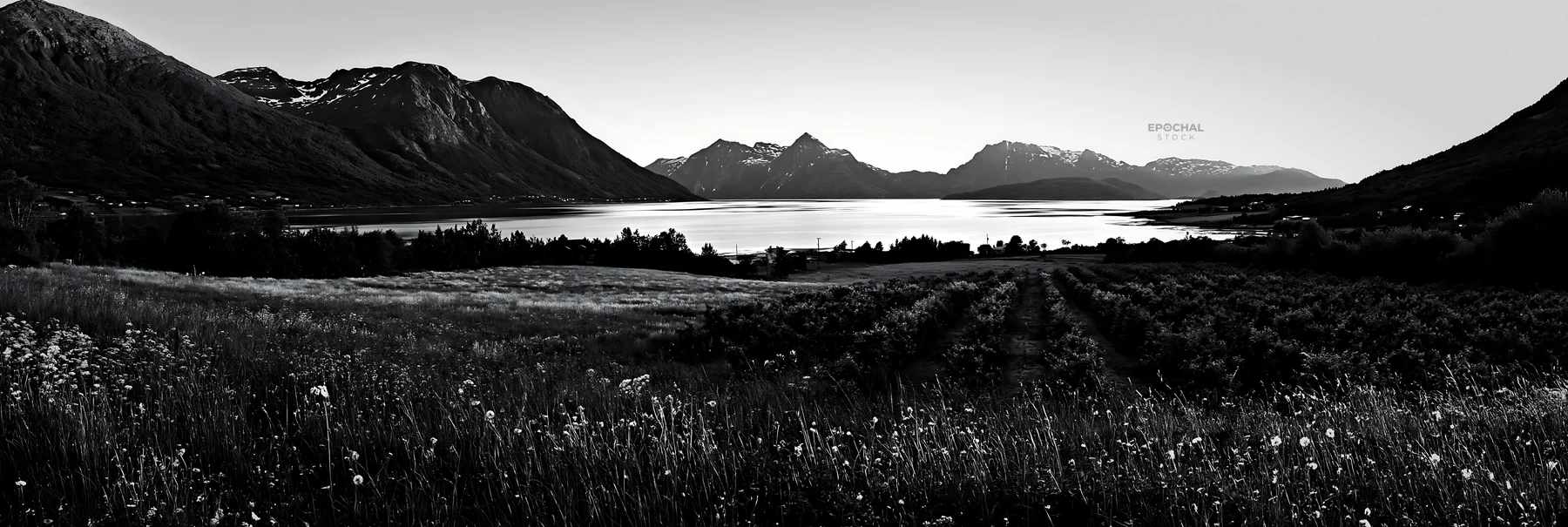 Fjord orchard meadow with mountains and water in black and white - AI-generated stock image