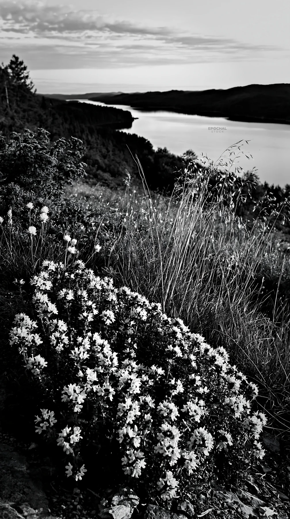 Celestial meadow lake with flowers and water view - AI-generated stock image