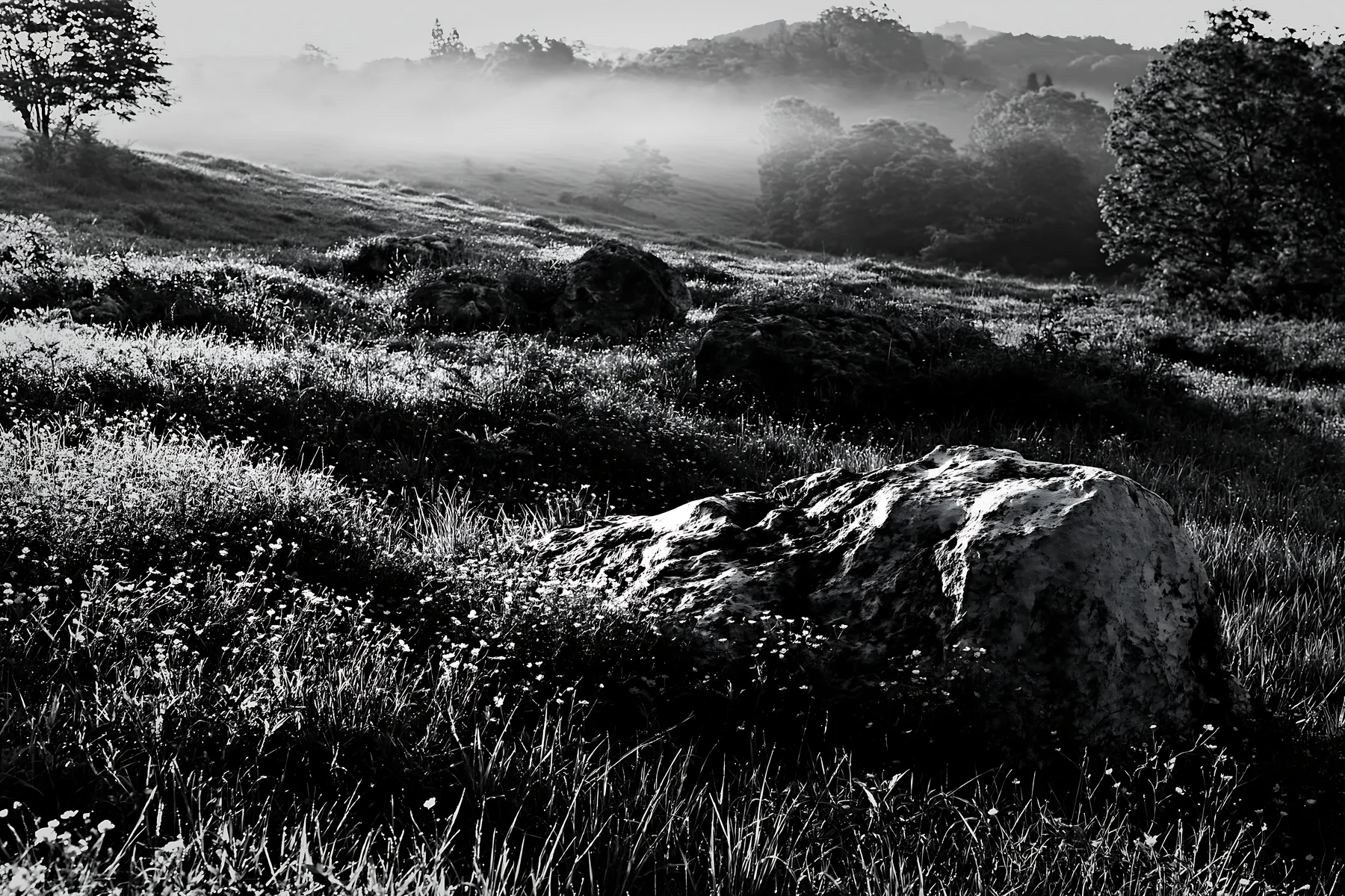 Yamaguchi limestone meadow with pale boulder at dawn - AI-generated stock image