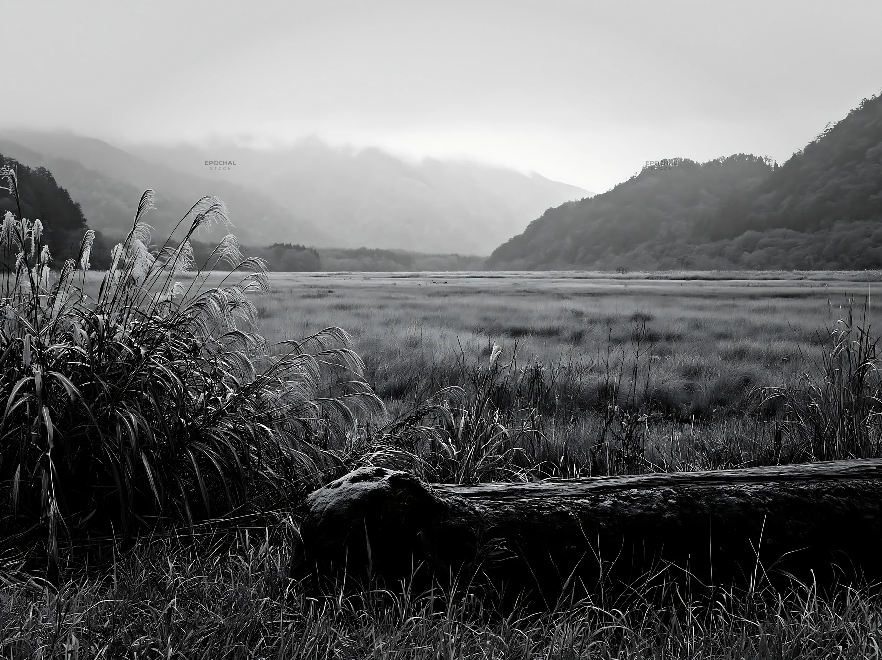 Black and white gifu low carbon meadow mossy log in natural landscape - AI-generated stock image