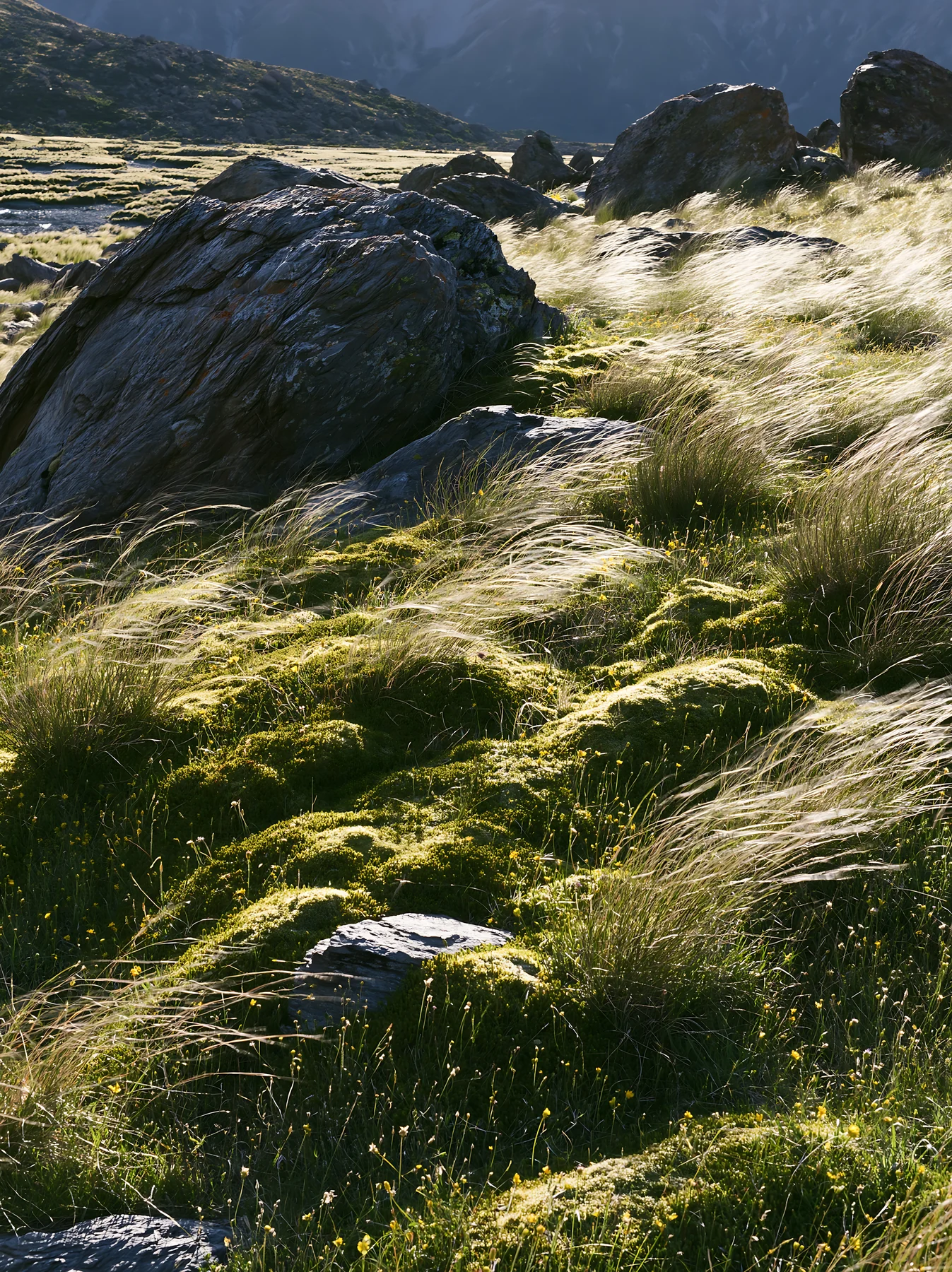 Mossy boulder meadow with tall grass under bright sunlight - AI-generated stock image