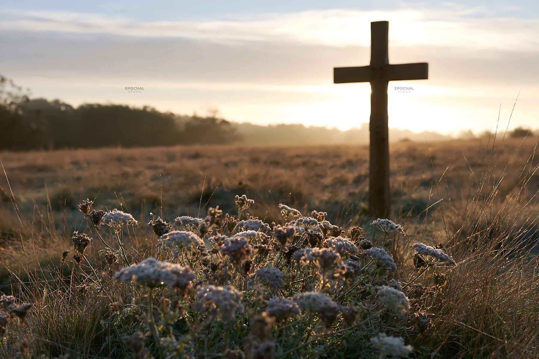 Carved oak cross stands in frosted meadow at sunrise - AI-generated stock image