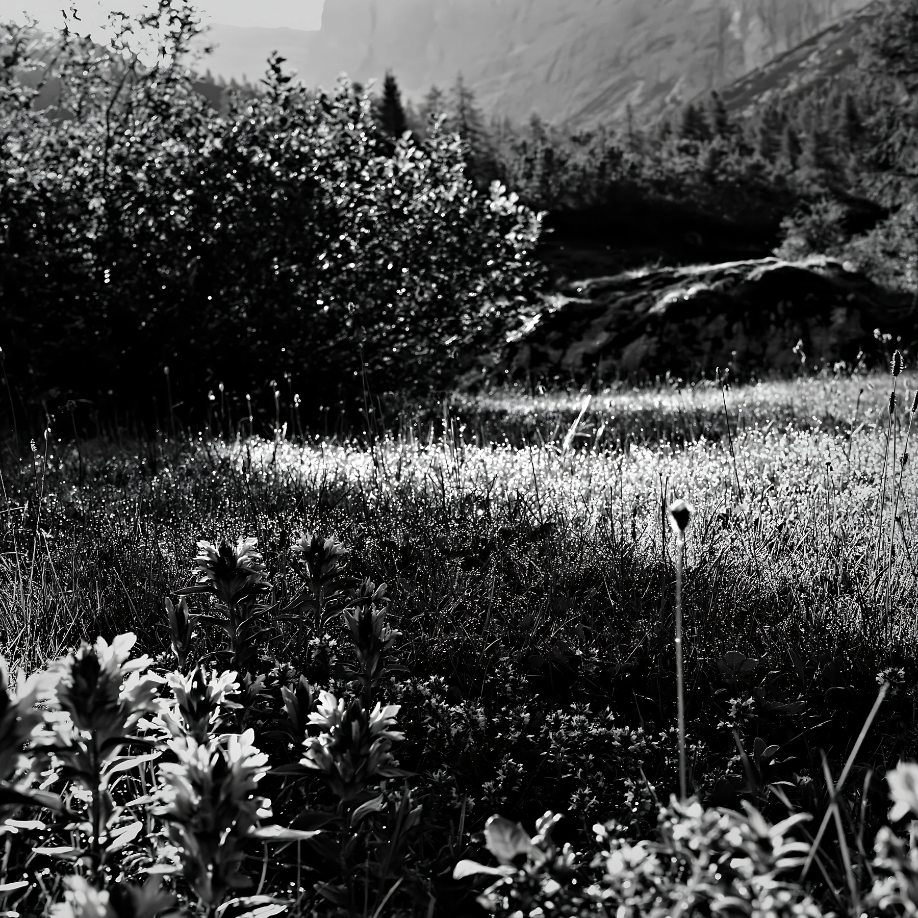Dewy meadow with natural plants and hills in the background - AI-generated stock image