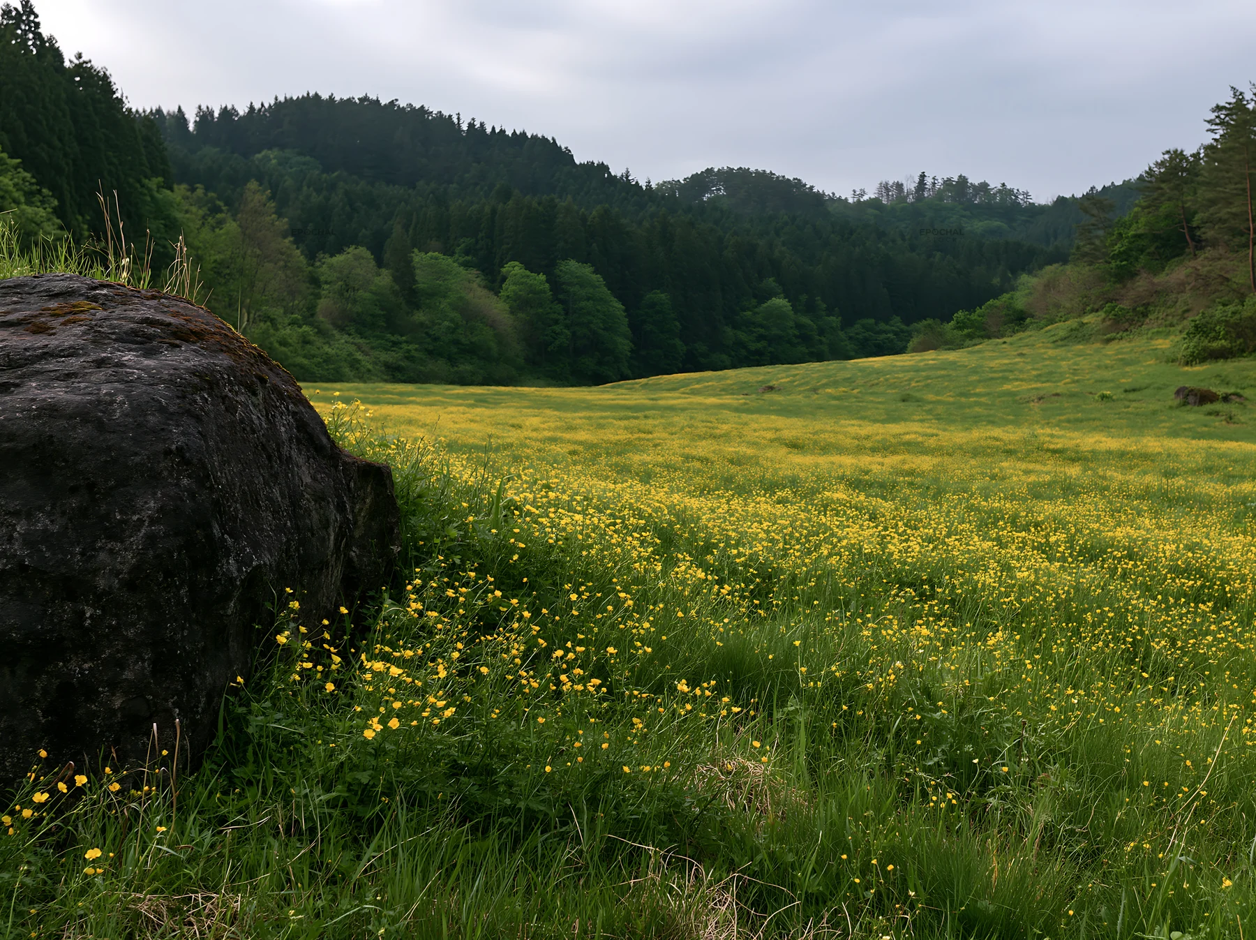 Meadow with boulder in Aomori, Japan - AI-generated stock image