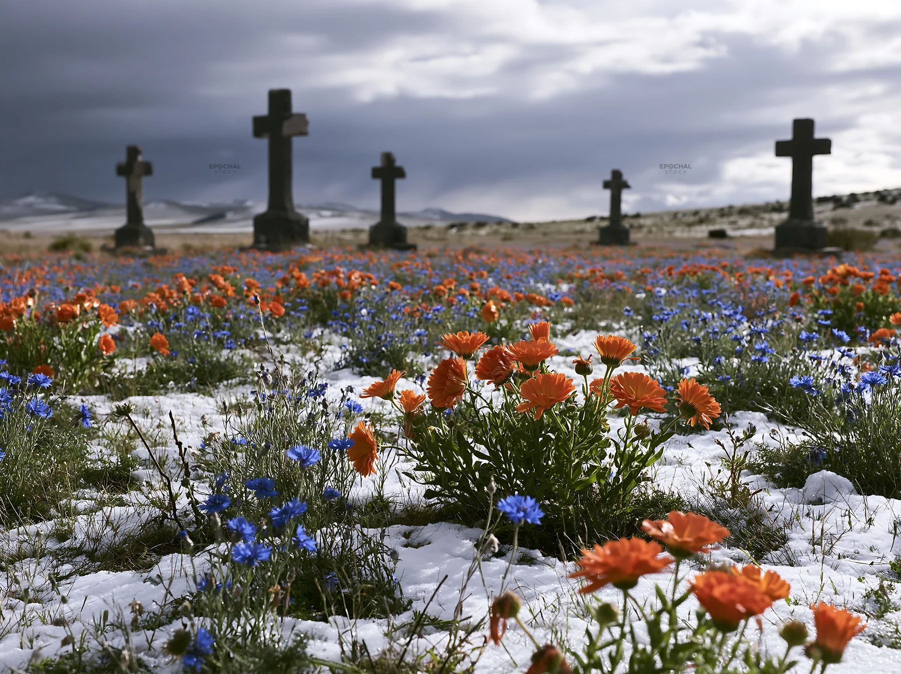 Multiple crosses in snowy meadow with flowers - AI-generated stock image