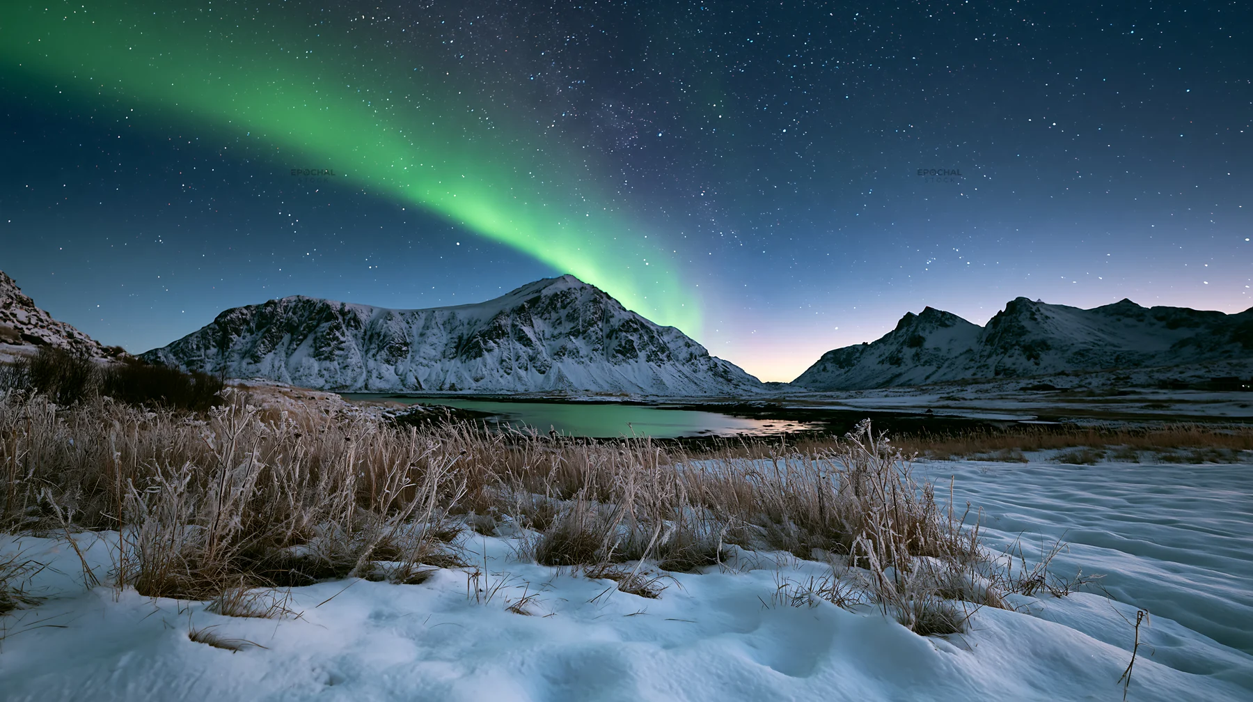 Lofoten coastal meadow winter snow under the northern lights - AI-generated stock image