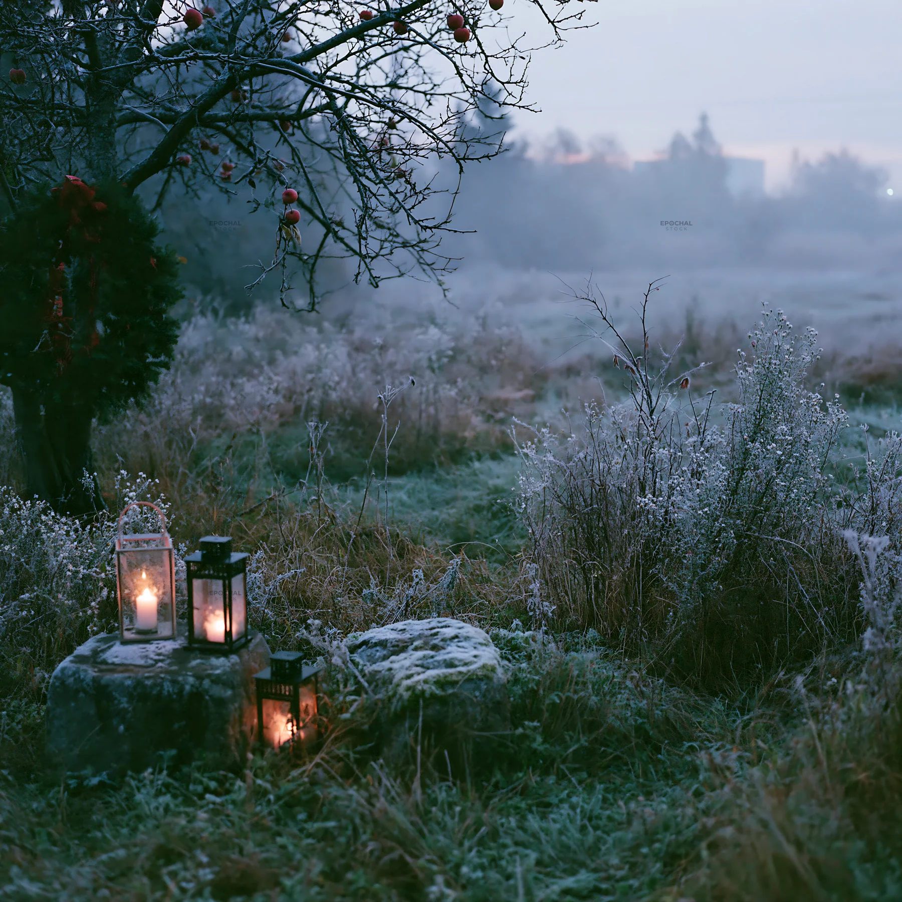 Frosted apple tree meadow with lanterns and stones - AI-generated stock image