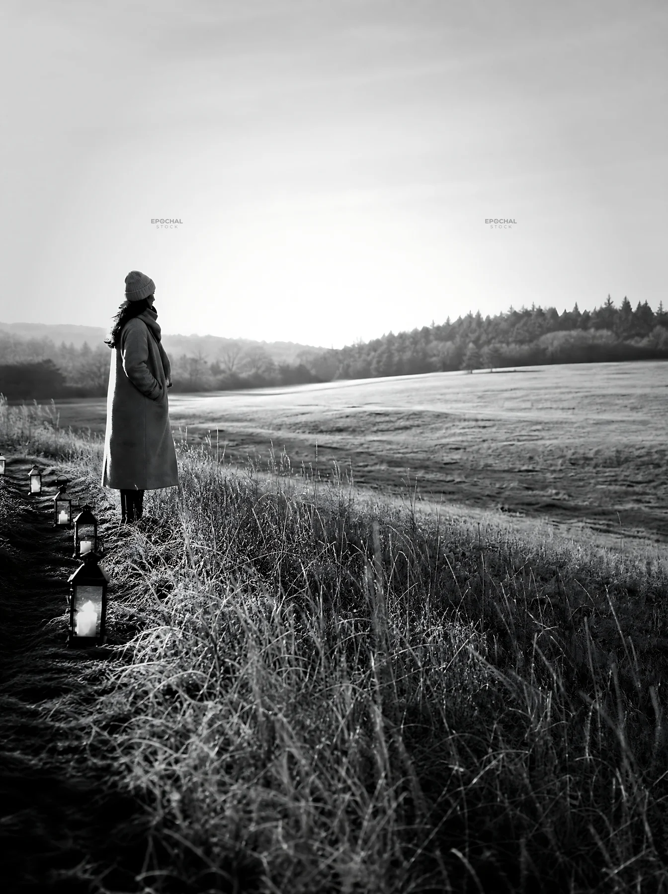 Daylight meadow scene with Christmas lanterns and a person standing - AI-generated stock image