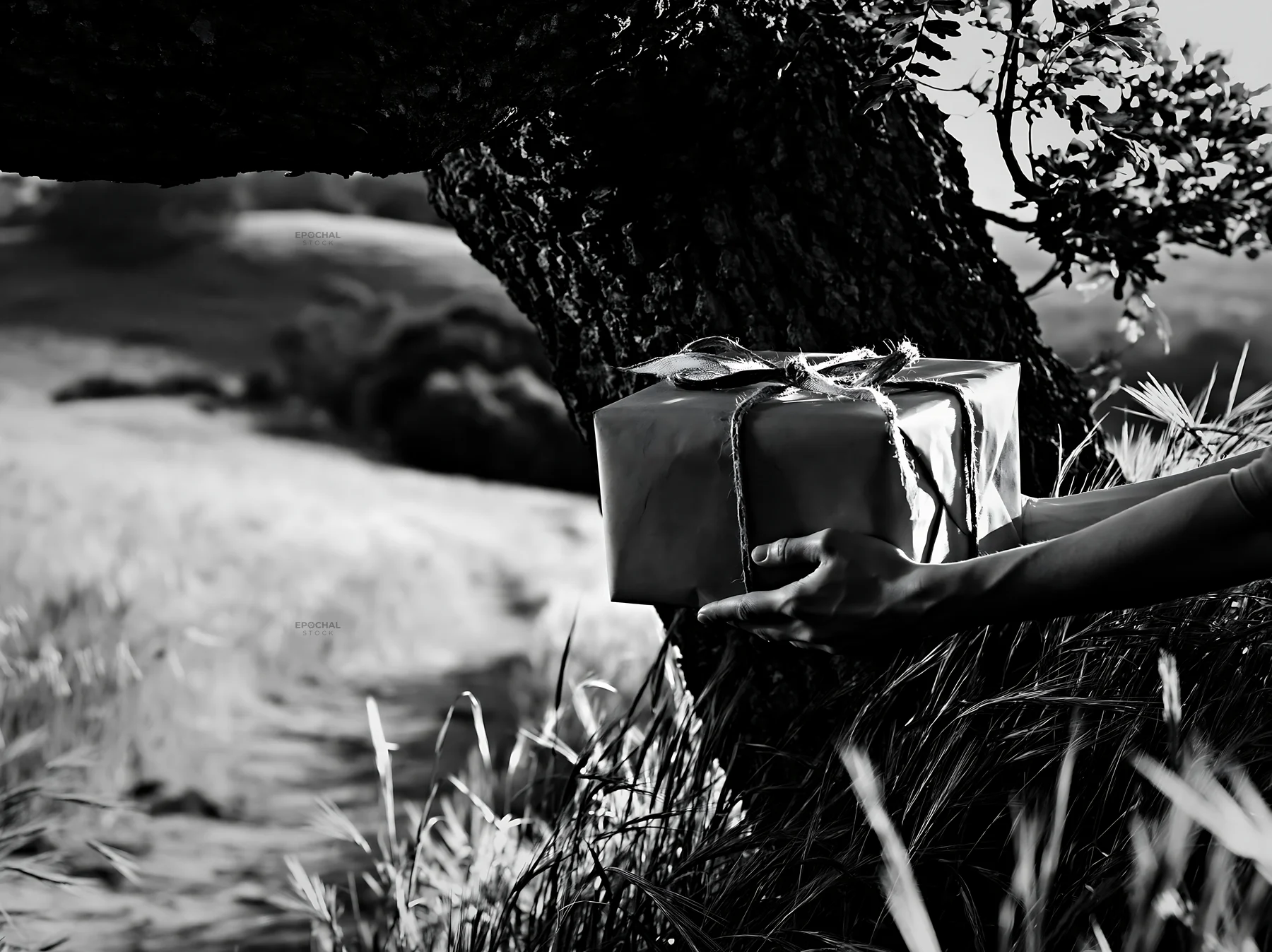 Gift placed under a tree in natural setting with grass around - AI-generated stock image