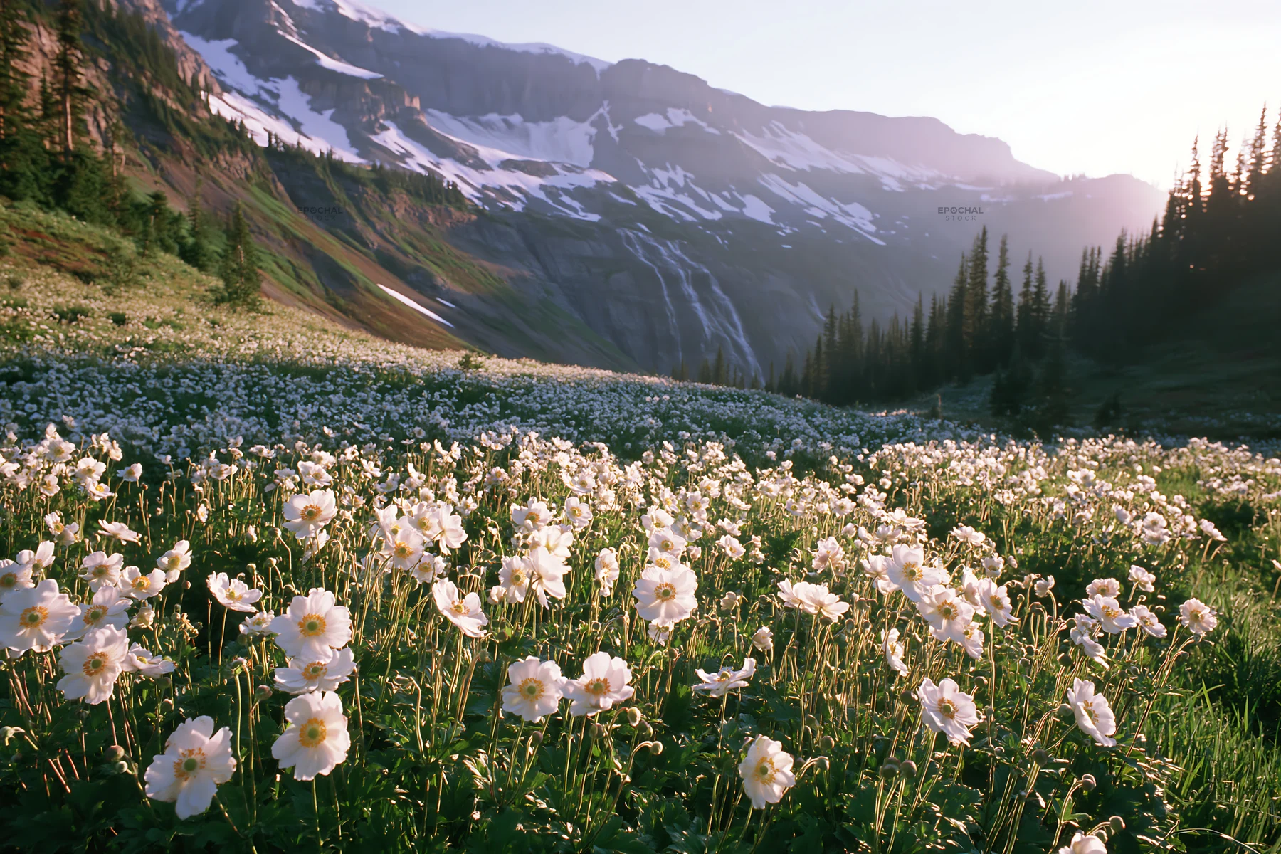 Flower meadow with distant cascade in mountain landscape - AI-generated stock image