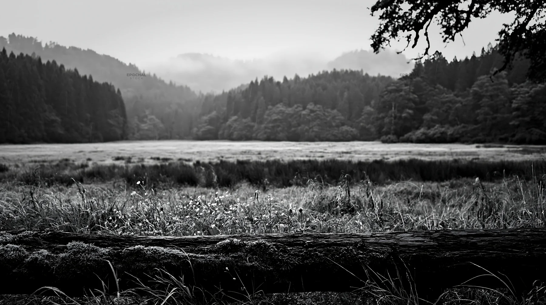 Black and white gifu low carbon meadow mossy log in a lush outdoor setting - AI-generated stock image