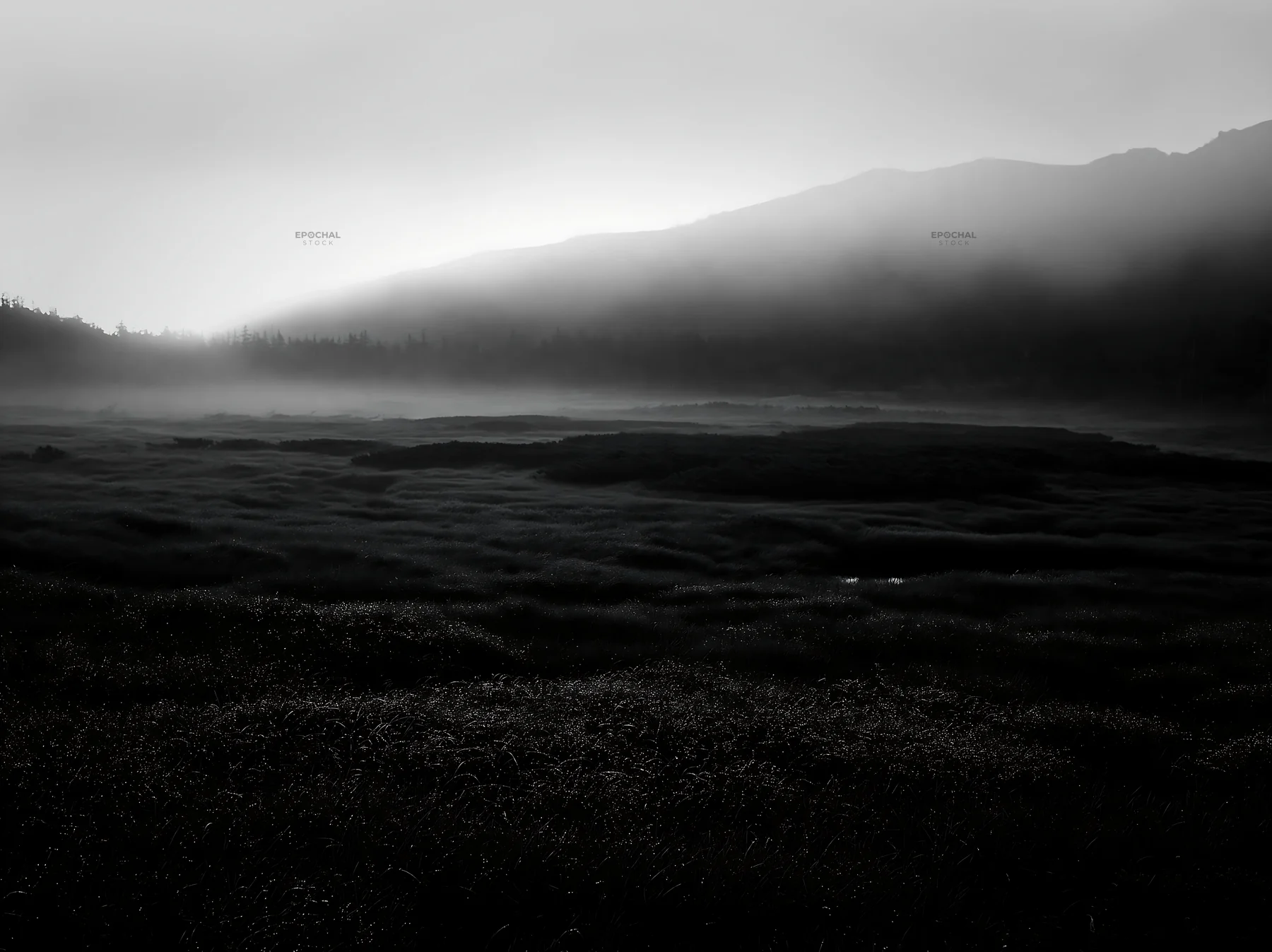 Daisetsuzan alpine meadow with light rays shining through mist - AI-generated stock image
