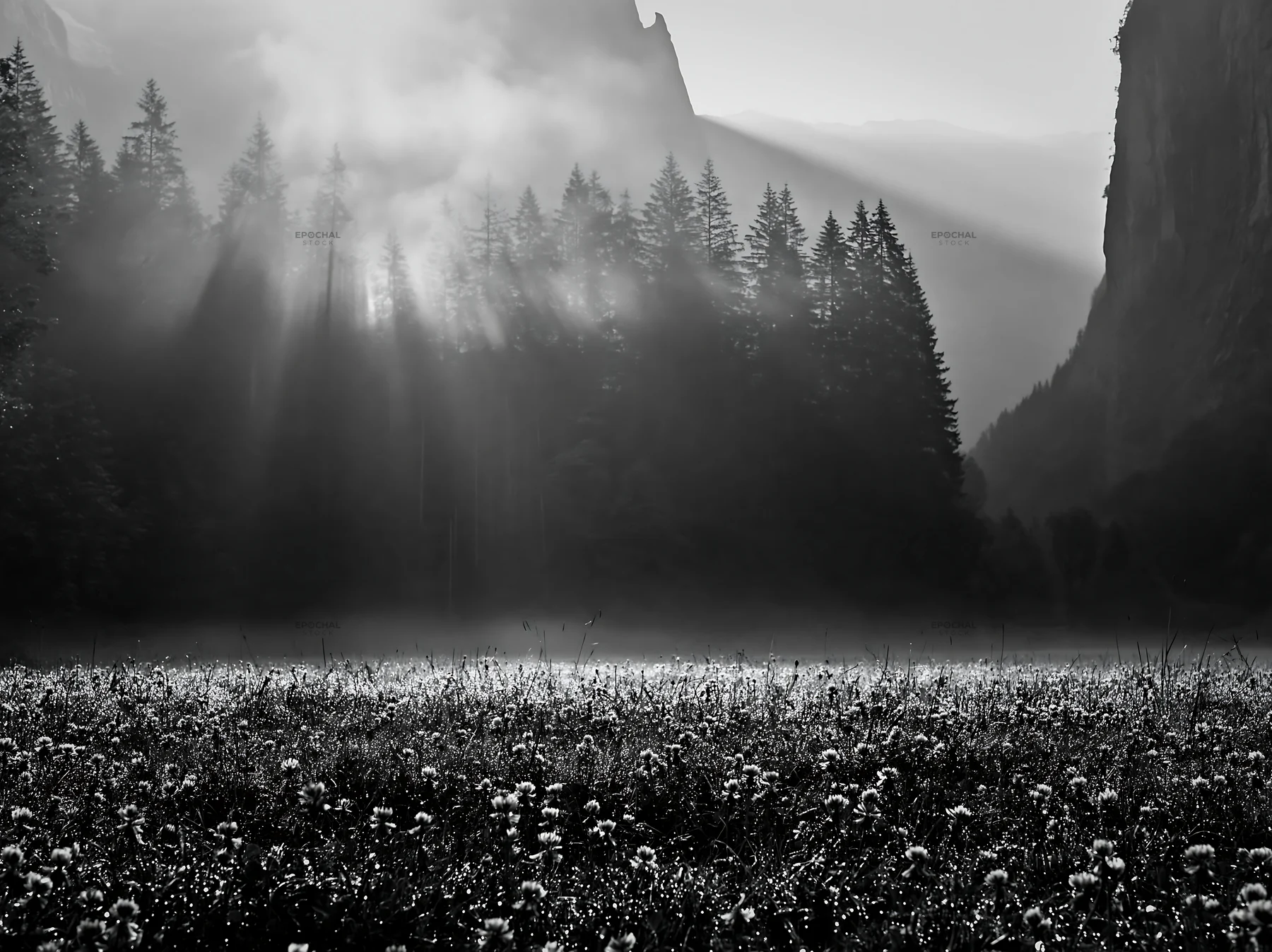 Lauterbrunnen Valley meadow with light rays through trees - AI-generated stock image