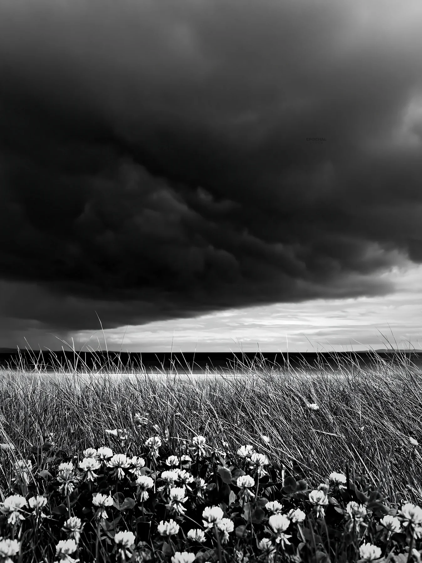 Regenerative meadow with dark clouds and flowers in the foreground - AI-generated stock image